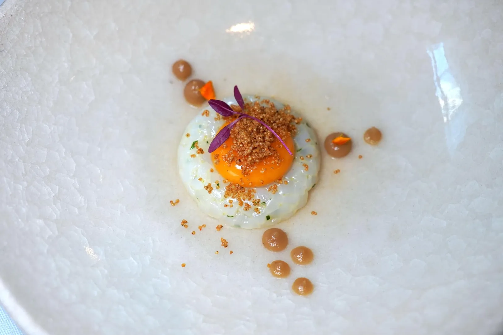 Squid tartare with liquid egg yolk, onion and kaffir consommé ถัดมาคือหมึกหั่นเป็นทาทาร์จัดเรียงเป็นวง ตรงกลางคือไข่แดงที่ตะแตกออกเมื่อใช้ช้อนตัก ทั้งยังมีคอนซอมเม่หรือซุปใสทำมาจากหอมใหญ่และมะกรูดอีกด้วย (19/20)