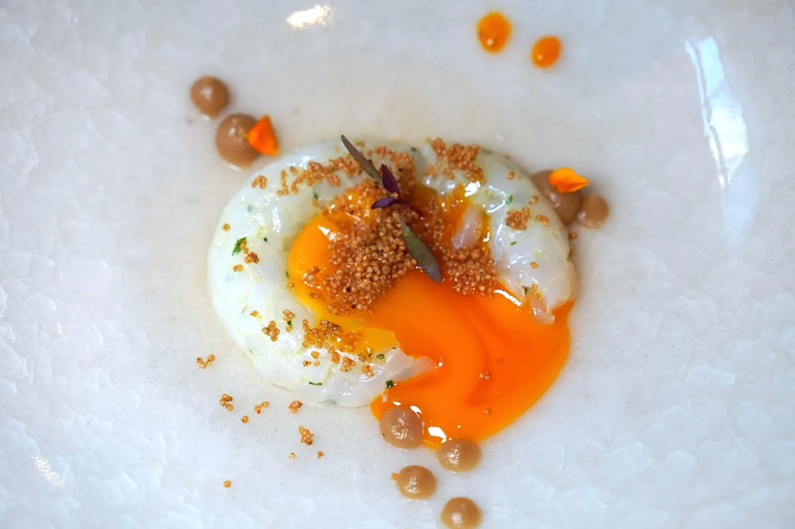 Squid tartare with liquid egg yolk, onion and kaffir consommé เชฟหั่นหมึกมาได้อัตราส่วนที่ดี รับประทานแล้วมีความหนึบแต่ไม่เละ ไร้ซึ่งกลิ่นคาว เบรคด้วยกลิ่นของมะกรูดและหอมใหญ่ ตัวซุปยังรสชาติหวานนิด ๆ ไข่แดงที่แตกออกมาเยิ้ม ๆ มีความครีมมี่ ช่วยเชื่อมแต่ละองค์ประกอบเข้าด้วยกัน (19/20)