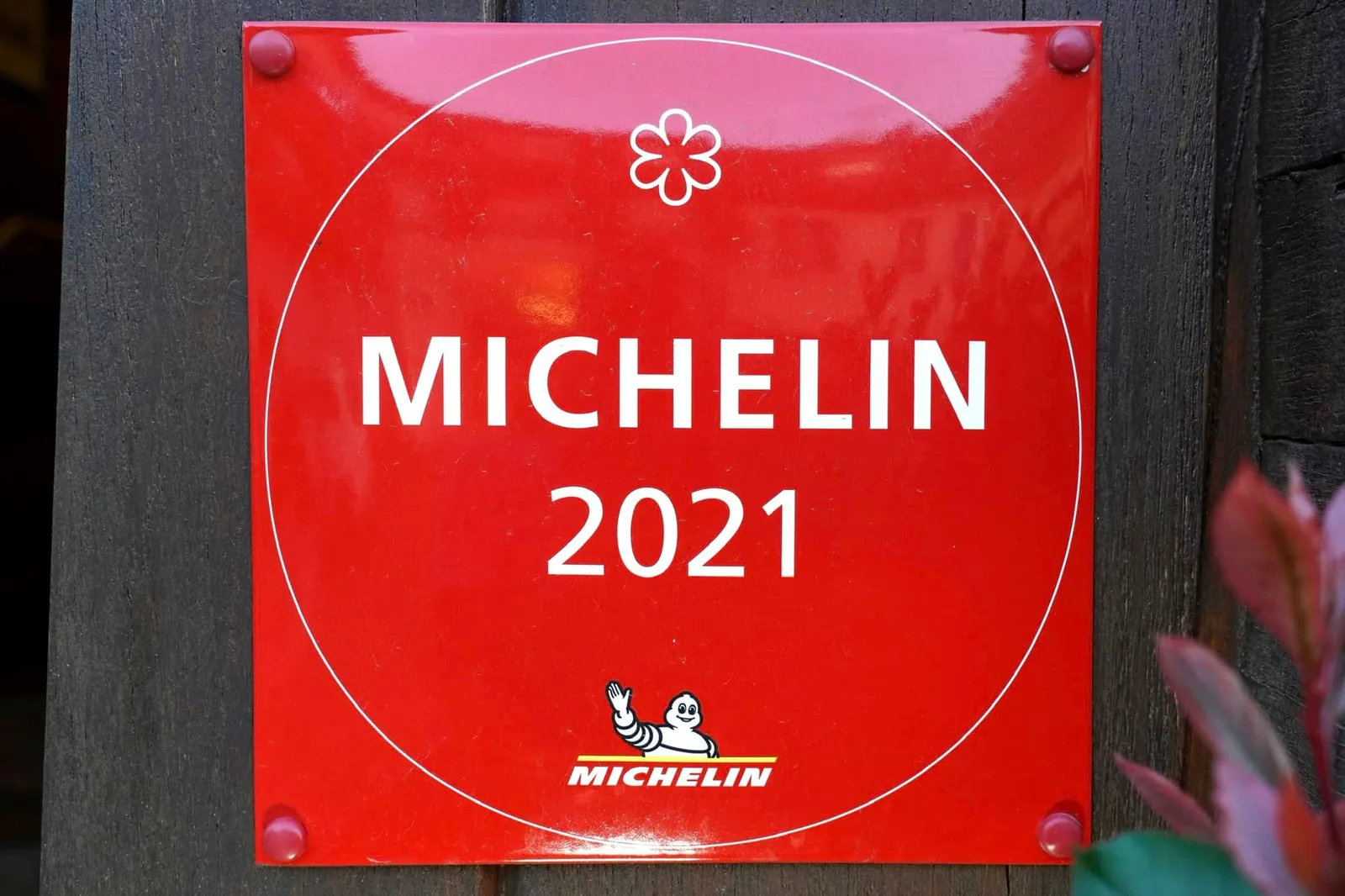 🌟 1 MICHELIN Star - 1 ดาวมิชลิน