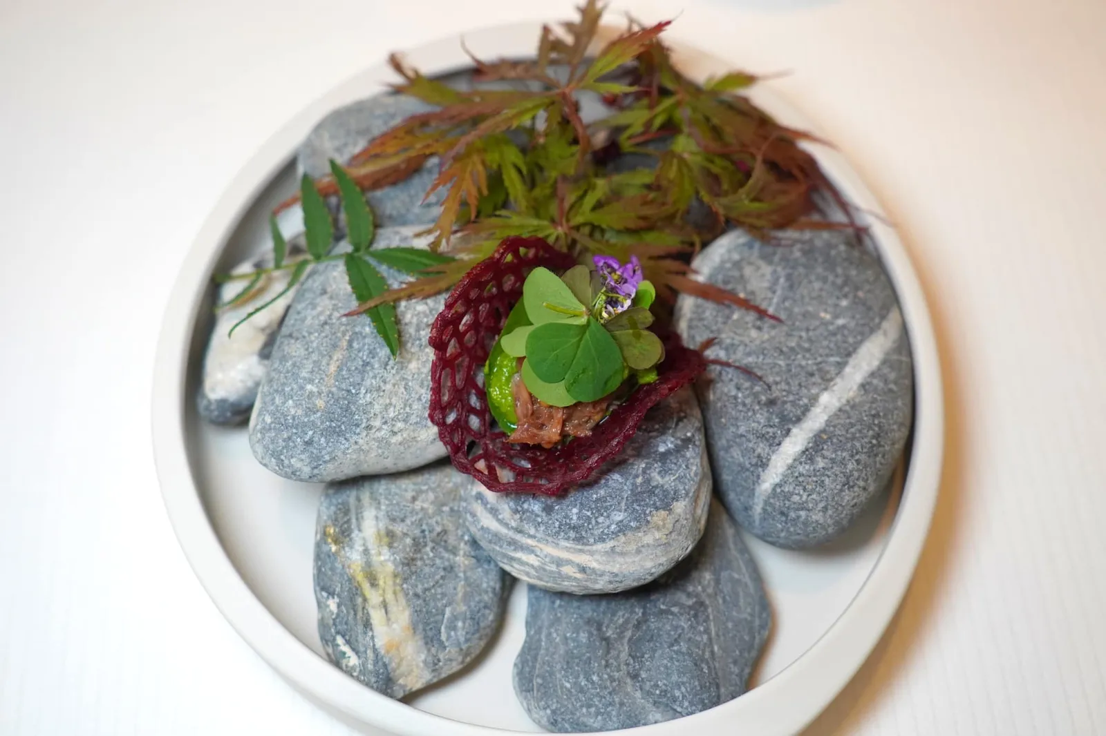 PIGÉON FROM BRESSE blackcurrant buds and Damas roses beetroot from Mathieu Cuendet Victoria rhubarb and juice สำหรับเสิร์ฟที่สองคือขนมปัง Beetroot Short Bread กรอบ ๆ ตรงกลางคือเนื้อส่วนขานกพิราบการผ่านการกงฟีกับเมล็ดมัสตาร์ดจนนุ่มและหอมนั่นเอง (19/20)