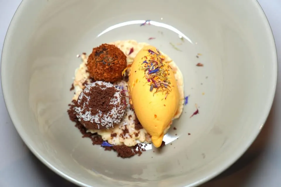 Chocolate / sea buckthorn berry / coconut (14 €) ปิดท้ายด้วยขนมช็อกโกแลตเสิร์ฟมากั้งแบบอุ่นและเย็นเพื่อให้มีอุณหภูมิที่แตกต่างกันรองด้านล่างด้วยองค์ประกอบของมะพร้าวและไอศกรีมซีบัคธอร์นรสเปรี้ยว (14/20)