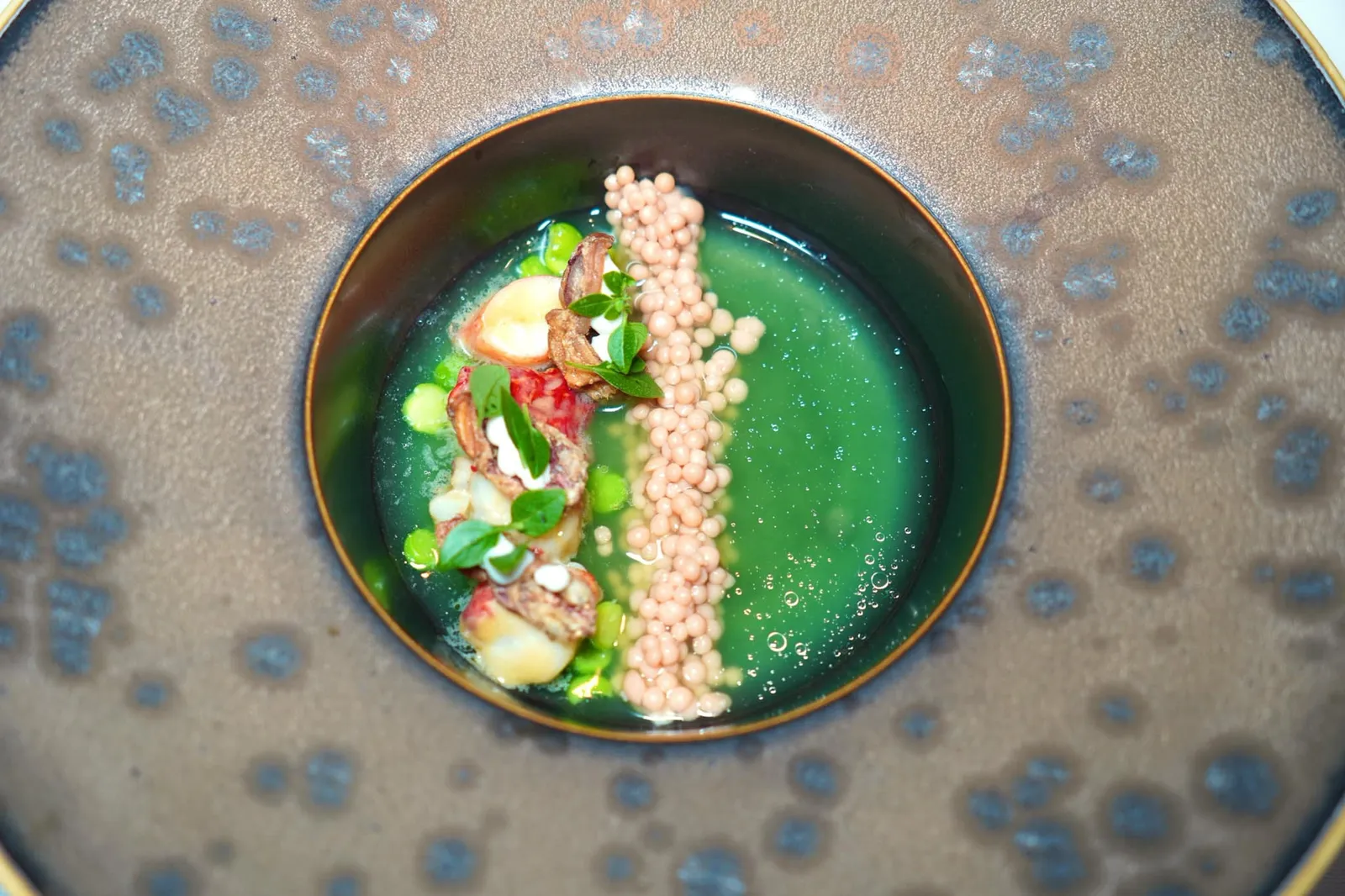 Blue Lobster Duck Tongue, Liquorice, Foie Gras, Green Apple, Pistou จานถัดมาคือ Blue Lobster ปรุงให้สุกในเนย Liqourice Butter จนได้เนื้อสัมผัสนุ่มเด้งตัดกันกับความกรอบของลิ้นเป็ด องค์ประกอบสีน้ำตาลกลม ๆ เตรียมมาจากฟัวกราส์ตับเป็ดที่มีความครีมมี่ หอม มัน จากนั้นที่โต๊ะพนักงานจะเทราดซอสสีเขียวทำมาจากแอปเปิ้ลเขียวลงไปช่วยเรียกความสดชื่นได้เป็นอย่างดี (19/20)