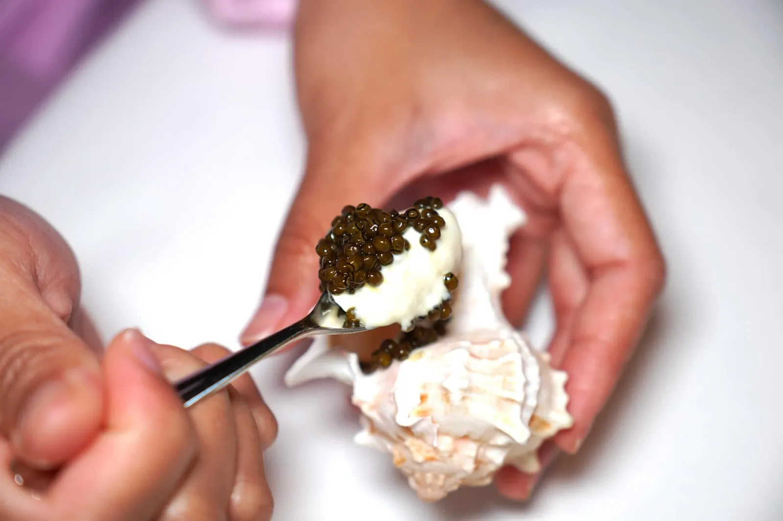 Conch Cauliflower, Kaffir, Caviar วิธีรับประทานให้ใช้ช้อนขนาดเล็กตักออกมาจากก้นหอยได้เลย (18/20)