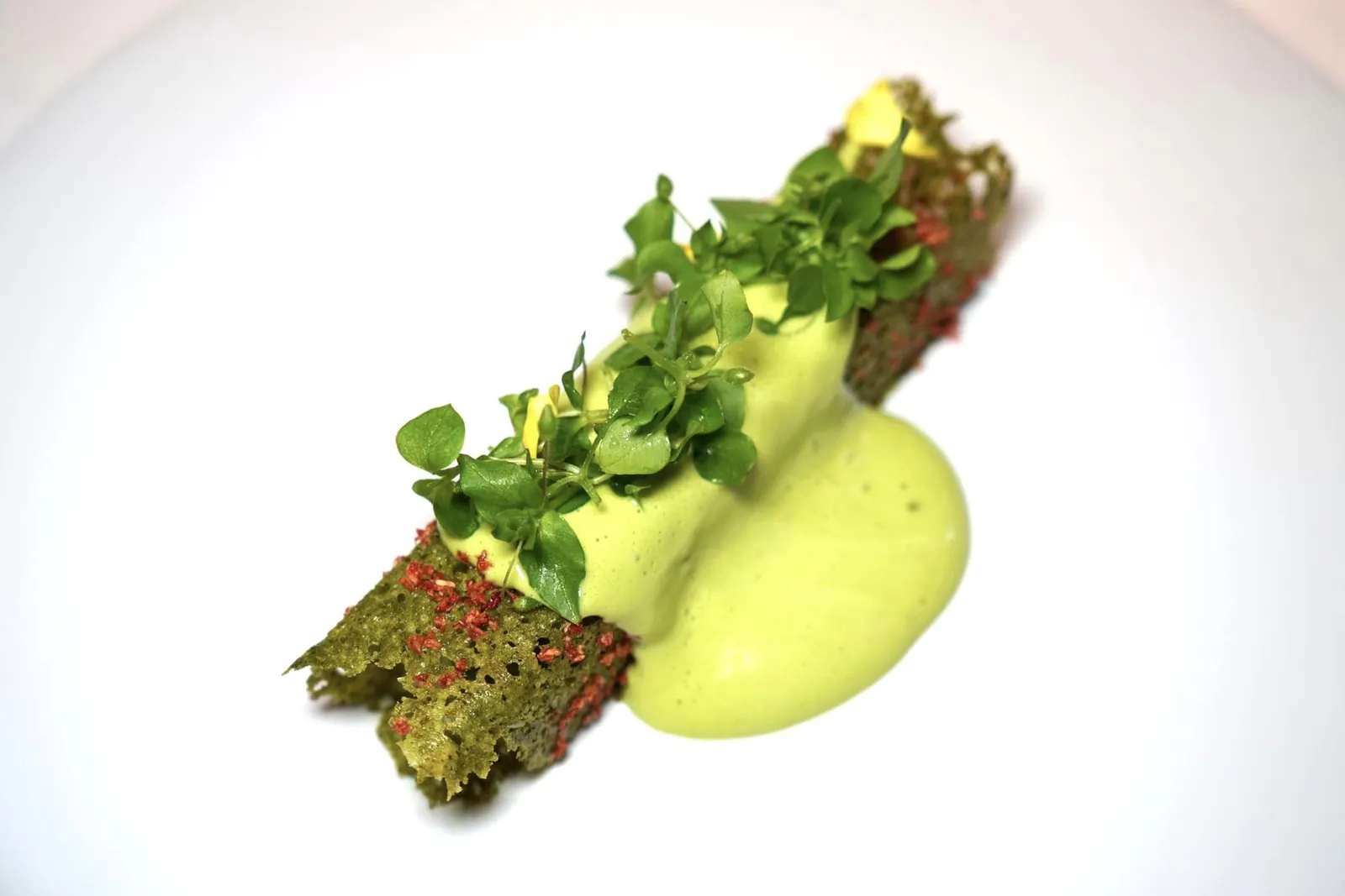 Lovage Wild Strawberry, Peteh Bean, Ramson จากนั้นพนักงานจะเทราดซอส Coconut Hollandaise สีเขียวที่มีครบทั้งความครีมมี่ หอม มัน เบรคด้วยรสเปรี้ยวจากผงสีแดงที่ทำมาจากสตรอว์เบอร์รี่ป่า จานนี้จบด้วยการวางผัก Chickweed ลงไปช่วยเสริมมิติทางเนื้อสัมผัสให้กับภาพรวมของจาน (19/20)