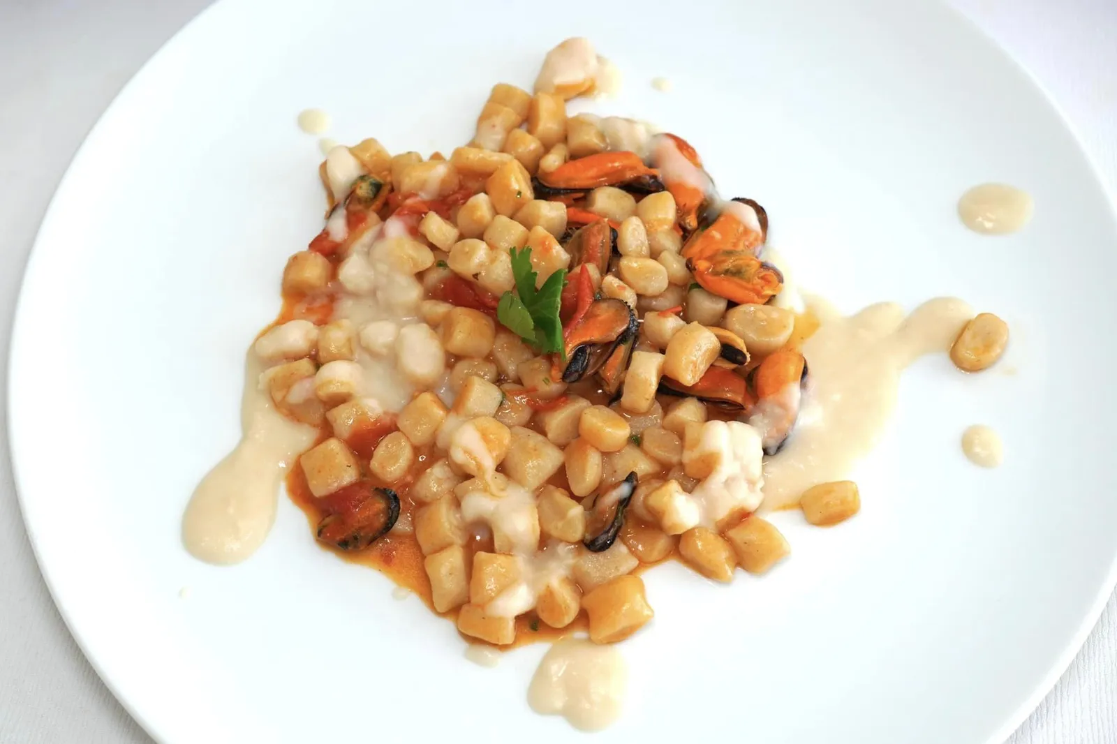 Chicche di pane al sauté di cozze, crema di fagioli cannellini e pomodorini (22 €) Homemade pasta with sautéed mussels, white bean cream and cherry tomatoes Chicche เป็นพาสต้าที่มีเนื้อสัมผัสนุ่มหนึบคล้ายกันกับ Gnocchi โดยในที่นี้ทางร้านได้เตรียมพาสต้าเองทั้งหมดตั้งแต่ขั้นตอนแรกคลุกเคล้ามากับซอสมะเขือเทศซึ่งเป็นหนึ่งในวัตถุดิบชั้นดีของพื้นที่ในแถบนี้และครีมถั่วขาวช่วยเพิ่มความครีมมี่ให้กับจาน นอกจากนี้ยังมีโปรตีนหลักคือหอยแมลงภู่สด ๆ ผัดมาอย่างดีไร้ซึ่งกลิ่นคาวใด ๆ อีกด้วย (14/20)