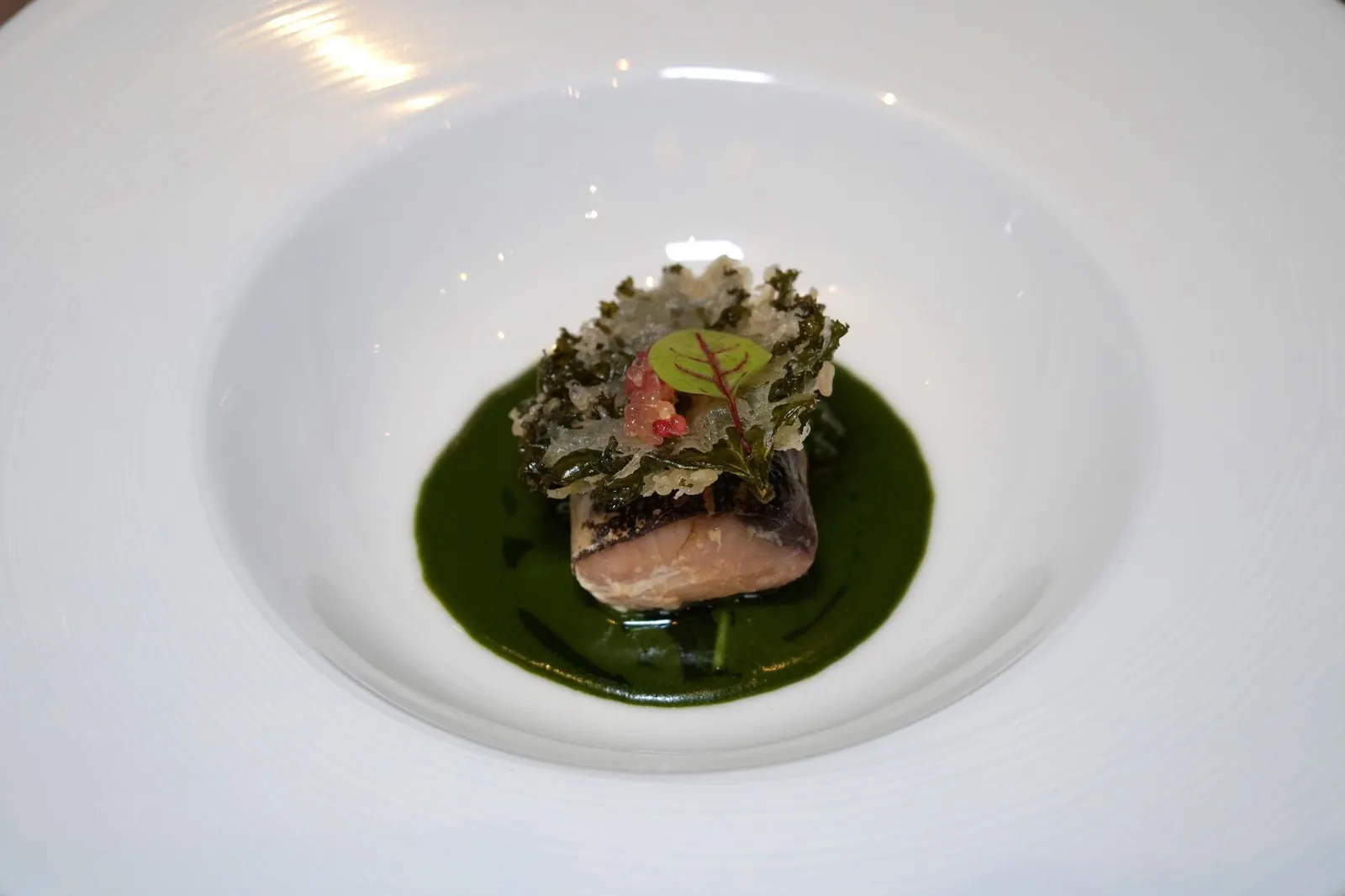 SAWARA Lemon Caviar, Water Cress ถัดมาคือ "ซาวาระ" หรือปลาเเมคเคอเรลญี่ปุ่น ตัดมาเป็นชิ้นฟิเลท์ขนาดพอทาน ด้วยความที่เป็นปลาในกลุ่มเเมคเคอเรลทำให้ปลามีเนื้อสัมผัสค่อนข้างแน่น ส่วนรสชาติของเนื้อปลาออกไปทางรสเค็ม มีกลิ่นเฉพาะตัวคล้ายกันกับปลาอินทรีย์บ้านเราเเต่ไม่แรงเท่า ด้านล่างเป็น Sauteed kale หรือคะน้าใบหยักที่ผัดมาจนนุ่ม ด้านบนเป็น Kale tempura หรือคะน้าใบหนักทอดกรอบ องค์ประกอบของซอสสีเขียวทำมาจากผักวอเตอร์เครส ตัดด้วยรสเปรี้ยวจากเลมอนคาเวียร์สีชมพูที่วางมาด้านบน แนะนำให้ทานทุกองค์ประกอบพร้อมกันเพื่อให้ได้รสชาติที่ครบถ้วน (14/20)