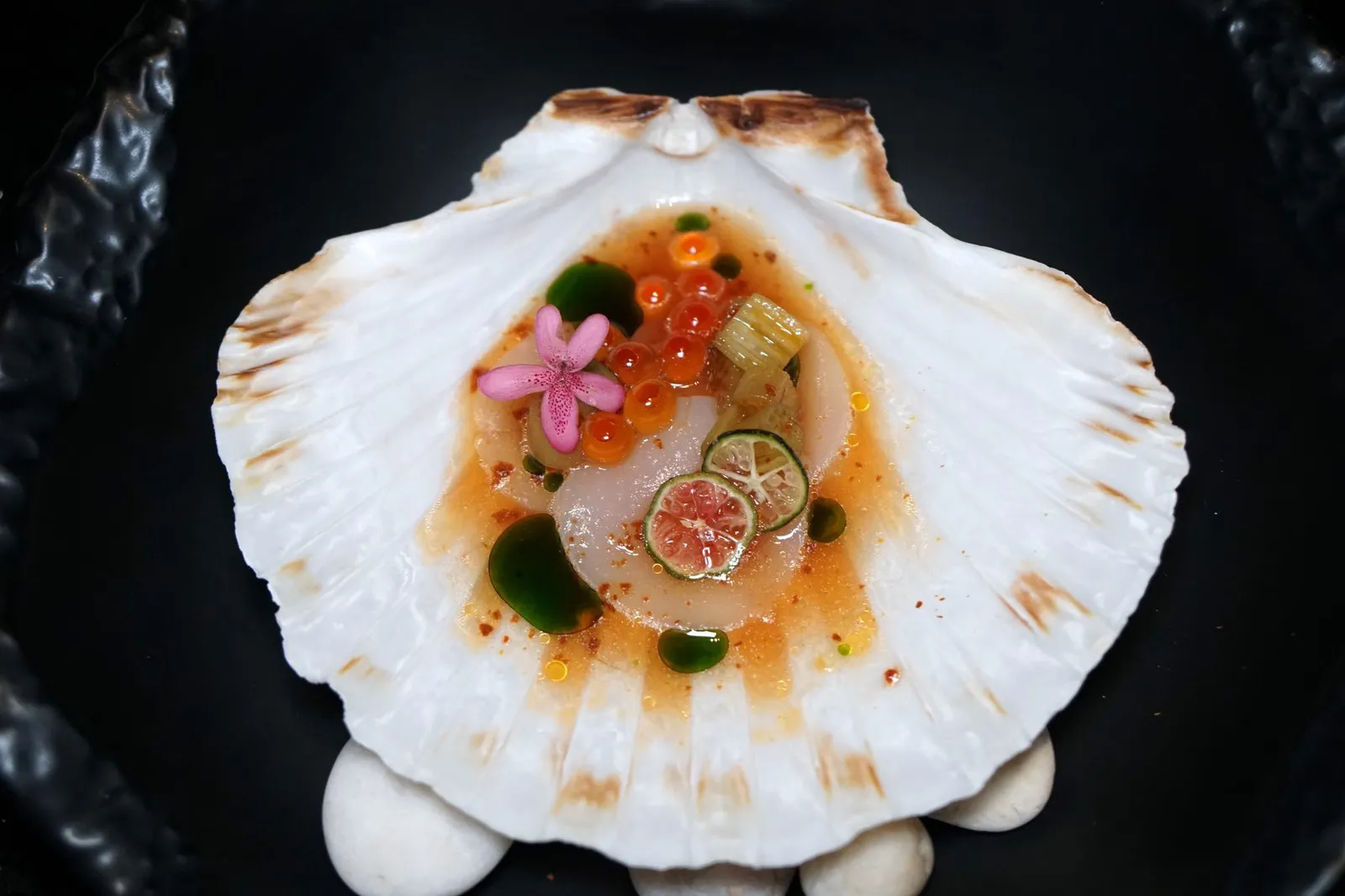 SCALLOP Sous Vide Hokkaido Scallop w/ Lotus Stem, Fermented Tomato Juice, Tomato Powder, Ikura, Finger Lime & Basil Oil จานนี้คือ “หอยเชลล์โฮตาเตะ” นำเข้าจากประเทศญี่ปุ่น เชฟเเนนนำไปซูวี จากนนั้นจึงแล่เป็นชิ้นบางๆคล้ายกับซาชิมิเสิร์ฟมา 3 ชิ้น ด้านบนทอปด้วยอิคุระหรือไข่ปลาแซลมอนเเละไหลบัว ด้านล่างเป็นซอสสีส้มทำมาจากมะเขือเทศดอง องค์ประกอบสีเขียวตือน้ำมันใบโหระพา ทีเด็ดของจานนี้อยู่ที่มะนาวนิ้วมือที่หั่นมาเป็นเเว่นๆ 2 ชิ้นเพราะเชฟแนนตั้งใจให้ทานเนื้อหอยเชลล์อย่างเดียวก่อนเเล้วจึงใส่มะนาวนิ้วมือลงไปในอีก 2 คำที่เหลือ ตัวหอยเชลล์ซูวีมานุ่มพอดี น้ำซอสมะเขือเทศดองด้านล่างมีรสเปรี้ยวอุมามิช่วยกระตุ้นความอยากอาหารได้เป็นอย่างดี ไหลบัวเเละอิคุระช่วยเพิ่มความกรอบ เราเเอบชอบคำที่มีมะนาวนิ้วมือเป็นองค์ประกอบเพราะจะได้รสเปรี้ยวเเละกลิ่นเฉพาะตัวกึ่งมะนาวกึ่งมะกรูดเสริมลงไปให้มีมิติมากยิ่งขึ้น (13/20)
