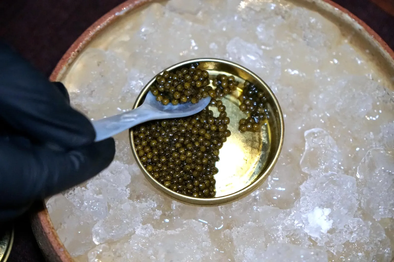 We rediscover the lesser known treasures of Hua Hin Sun choke and caviar จากนั้นจึงทอปด้านบนด้วยไข่ปลาคาเวียร์คุณภาพสูงจากฟาร์มในอำเภอหัวหินซึ่งสั่งทำพิเศษมาให้ร้านพรุโดยเฉพาะ (18/20)