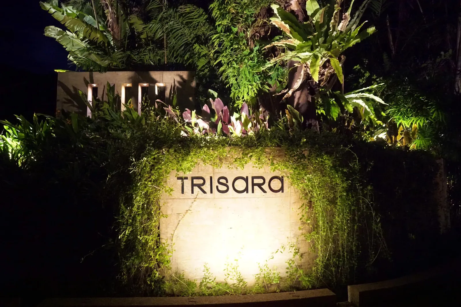ตัวร้านบริหารงานโดยเครือมนทาระโดยตั้งอยู่ในรีสอร์ทสุดหรูชื่อดังอย่าง Trisara Phuket การเดินทางแนะนำให้มาโดยรถยนต์เท่านั้นเพราะทางเข้าค่อนข้างคดเคี้ยวและมีบางจุดที่ถนนค่อนข้างมืดอีกด้วย
