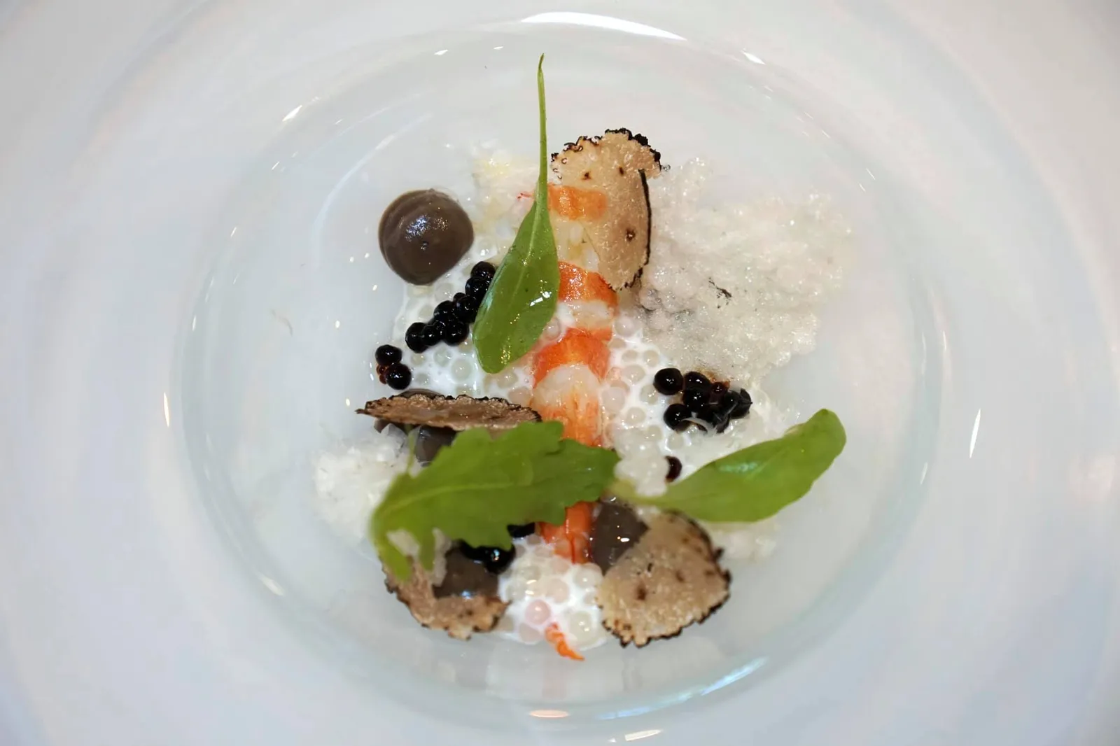 TRUFFLE red shrimp | parmesan | balsamic หนึ่งในจานที่ดีที่สุดในวันนี้คือ “ทรัฟเฟิล” เชฟแดนเลือกใช้กุ้งแดงนำเข้ามาจากประเทศอาเจนติน่า เนื้อสัมผัสกุ้งทำออกมาได้ดีมาก ๆ โดดเด่นกว่าห้องอาหารอื่น ๆ ในกรุงเทพที่ใช้วัตถุดิบเดียวกันอย่างชัดเจน เนื้อกุ้งนุ่มใช้ลิ้นดันเบา ๆ ก็เกือบจะละลายในปาก มีรสชาติหวานเด่นชัดจนเกือบเทียบได้กับกุ้งแดงสด ๆ เลยทีเดียว นำมาจับคู่กับพาเมซานเสิร์ฟมาหลายรูปแบบคือ Parmesan cheese แบบปกติ และ Parmesan milk ซึ่งให้กลิ่นหอม มัน และรสเค็มเบา ๆ มาช่วยชูรสหวานของเนื้อกุ้งให้เด่นชัดมากขึ้น ยังมีแผ่นกรอบ Parmesan chips ทำมาจากชีสผสมกับแป้งมันสำปะหลัง ส่วนองค์ประกอบสีดำขนาดเล็กคือบัลซามิคที่ทำออกมาเป็นเพิร์ลขนาดจิ๋วช่วยบาลานซ์โทนรสชาติโดยรวมของจาน มีเมล็ดสาคูช่วยเพิ่มมิติทางเนื้อสัมผัส ด้านบนเป็นใบร็อคเก็ต ทรัฟเฟิลพูเร และทรัฟเฟิลสไลด์ เชฟเลือกที่จะเสริม Truffle essence มาด้วยอาจเพราะทรัฟเฟิลตอนนี้เป็น Summer truffle จึงต้องมีตัวช่วยมาชูกลิ่นให้เด่นชัดมากขึ้นกว่าปกติ ถือเป็นจานที่มีความหลากหลายทางเนื้อสัมผัสและยังบาลานซ์รสชาติออกมาได้ดีมากจริง ๆ (16/20)
