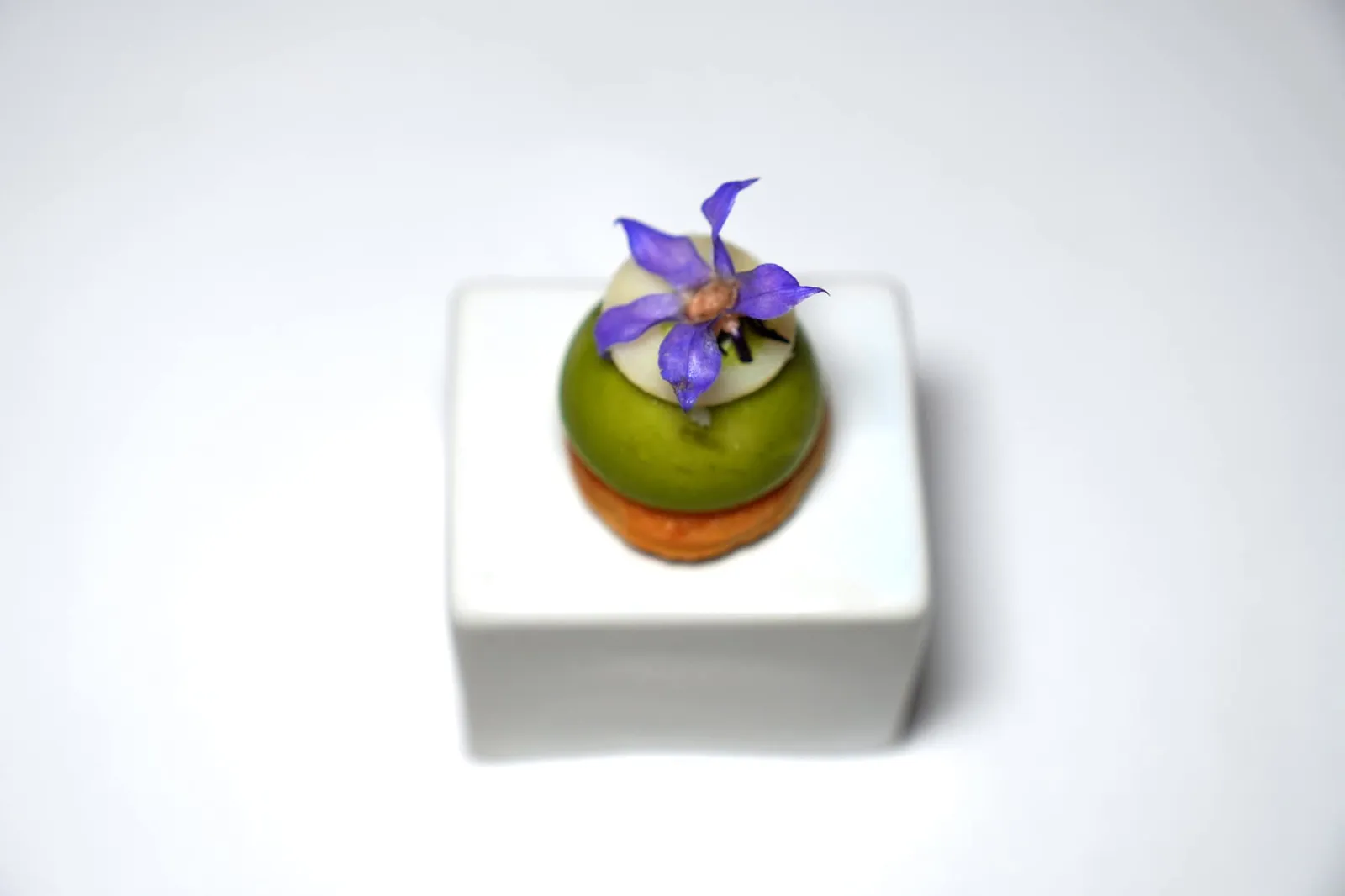 Amuse-bouche คำนี้คือ Caesar Salad ที่เชฟนำมาปรับรูปแบบการนำเสนอเสียใหม่ ด้านล่างเป็น Parmesan Cheese Crouton หรือขนมปังกรอบที่มีกลิ่นหอมของชีสพาเมซานจับคู่กับ Chicken Mousse เนื้อเนียนละมุน (16/20)