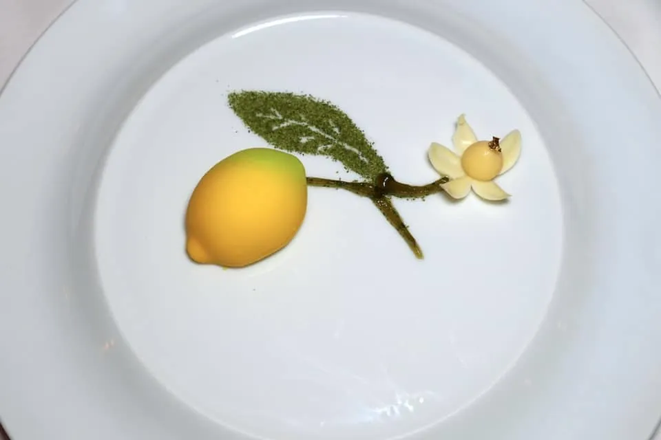 Sorrento lemon Fantastique Lemon, yogurt, almond and lemon balm 2018 เชฟ Antonino Montefusco ตั้งใจประกอบมูสโยเกิร์ตและเลมอนท้องถิ่นของนคร Sorrento ซึ่งเป็นวัตถุดิบระดับโลกของภูมิภาค Campania รวมกันขึ้นมาเป็นผลเลมอน ด้านล่างรองด้วย Almond Soft Biscuit องค์ประกอบของกิ่งไม้เตรียมมาจาก Merisa ผงที่เตรียมขึ้นมาเป็นรูปใบไม้คือ Dehydrated Lemon Leaf ให้อโรมาเฉพาะตัวและช่วยเสริมกลิ่นหอมของเลมอน สุดท้ายคือดอกไม้ที่เตรียมมาจาก White Chocolate และทองคำเปลวรับประทานได้ (17/20)
