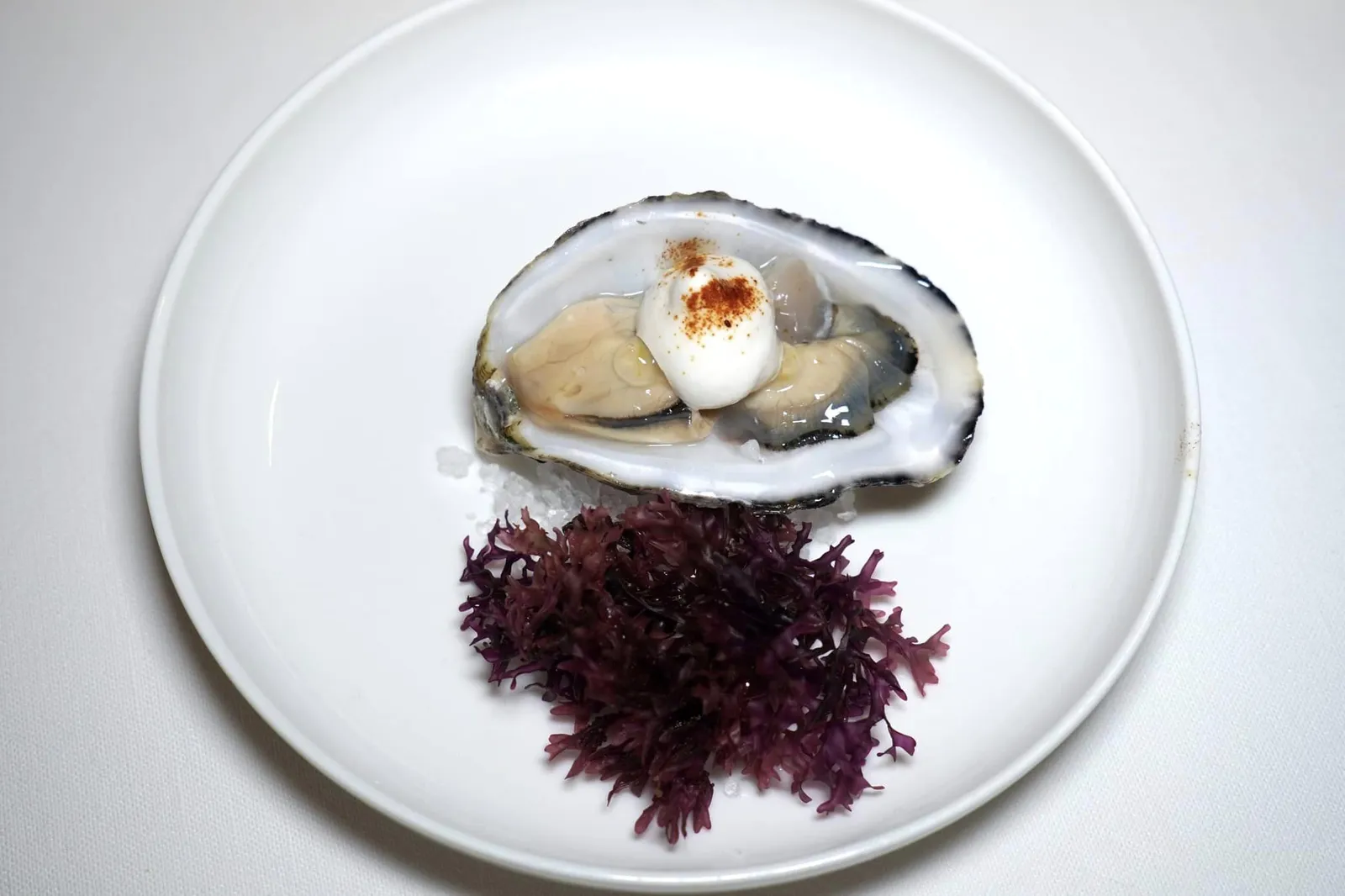 Oyster with almond milk and licorice ถัดมาคือหอยนางรม Regal Oyster สด ๆ จากทางตอนเหนือของประเทศฝรั่งเศสเสิร์ฟมานมอัลมอนด์หอม ๆ และผง Licorice ซึ่งเป็นเครื่องเทศในกลุ่มชะเอมนั่นเอง รอบ ๆ ตกแต่งด้วยสาหร่ายเพื่อบ่งบอกถึงความเป็นทะเลนั่นเอง (14/20)