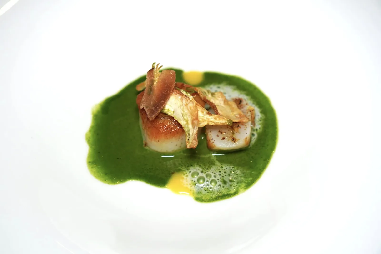 Scallops, artichoke, cabbage, orange and bread foam Saint Jacque หรือหอยเชลล์ยักษ์ย่างมาสุกกำลังดีให้เนื้อสัมผัสค่อนข้างเฟิร์มท็อปด้านบนด้วย Artichoke ทอดกรอบ ด้านล่างรองด้วยซอสสีเขียวที่เตรียมมาจากกะหล่ำปลีตัดด้วยรสเปรี้ยวของซอสสีส้มเตรียมมาจากส้ม นอกจากนี้ยังมีโฟมสีขาวที่เตรียมมาจากขนมปังอีกด้วย (15/20)