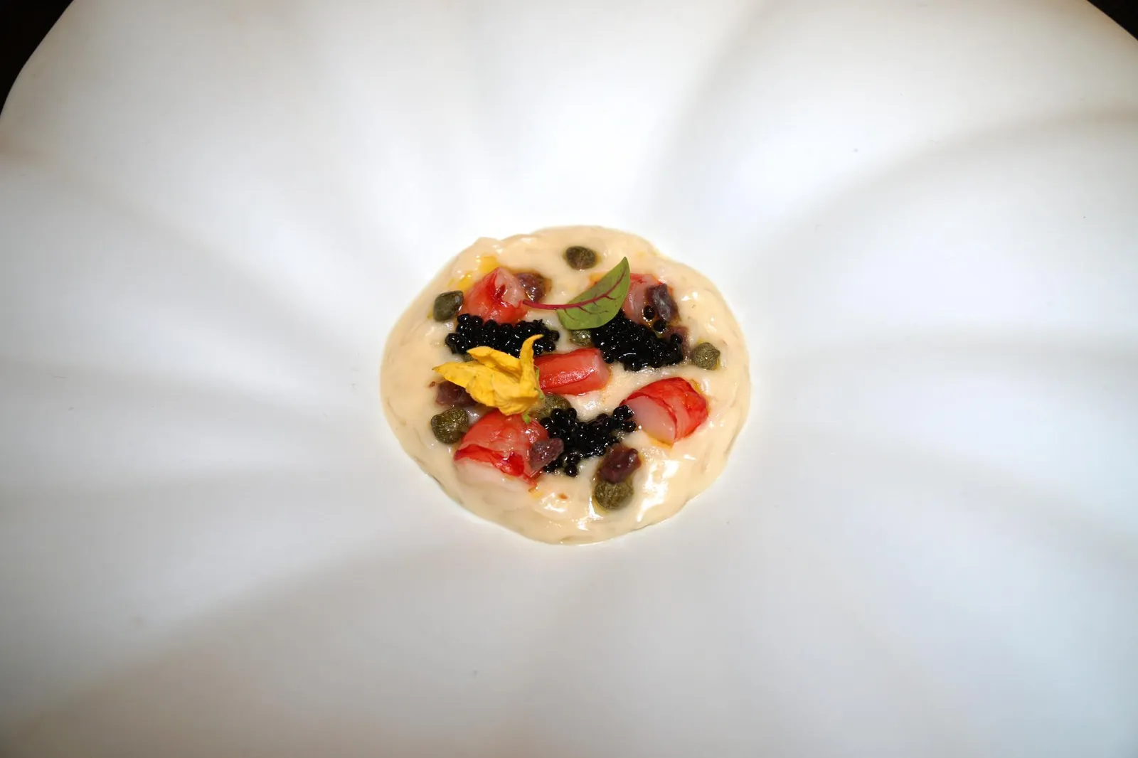 Smoked buffalo mozzarella risotto with Sicilian capers, Cantabrian anchovies, Sicilian red prawns and Siberian caviar สำหรับคอร์ส Primi จานนี้คือ “มอซซาเรลล่ารีซอตโต้” ที่เชฟนำข้าวไปปรุงกับชีสมอซซาเรลล่าที่ผ่านการรมควันจนหอม ตัวข้าวมีความ Al Dente กรึบตรงกลางเล็กน้อย รสชาติเค็มโดดตรงตามต้นตำรับ ส่วนองค์ประกอบด้านบนมีหลายอย่าง เริ่มจากไฮไลท์อย่างแองโชวีจากเเคว้นเเคนตาเบรียในประเทศสเปนซึ่งเป็นหนึ่งในแองโชวี่ที่คุณภาพสูงที่สุดในโลก มีรสเค็มกลมกล่อม ไม่มีกลิ่นเหม็น ข้างกันเป็นกุ้งเเดงจากเเคว้นซิซิลีประเทศอิตาลี เชฟทำกุ้งออกมาได้เพอร์เฟคมากๆ ลักษณะเด่นของกุ้งเเดงอยู่ครบทุกอย่าง ทั้งเนื้อนุ่ม รสชาติหวานฉ่ำ ยังมีเคเปอร์ที่เชฟนำเข้ามาจากเเคว้นซิซิลีเช่นกัน (15/20)