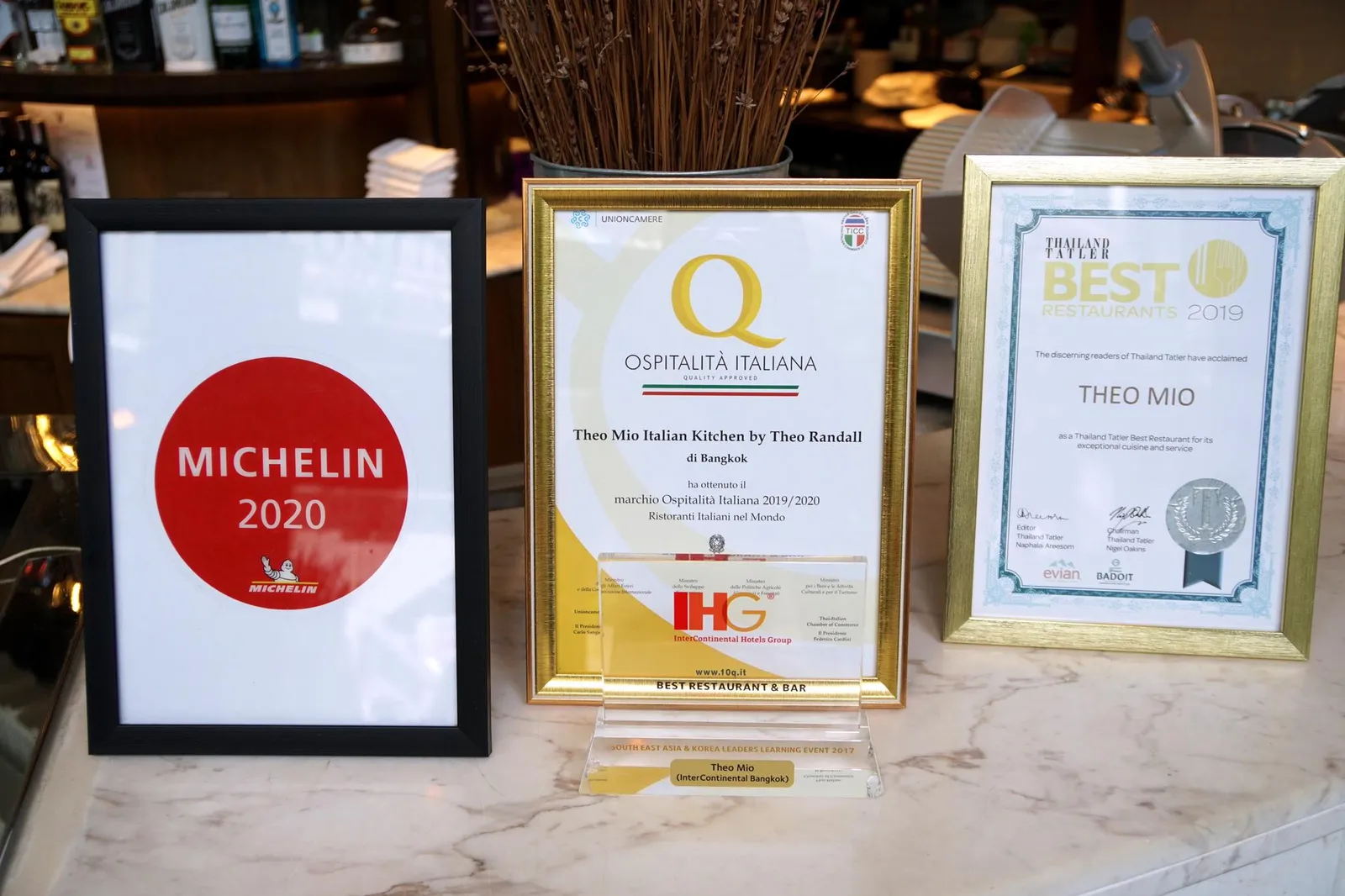 Theo Mio การันตีด้วยรางวัลต่างๆมากมายทั้งป้ายสีทองจาก Ospitalità Italiana, รางวัล Tatler Thatland Best Restaurant และ The Plate จาก Michelin Guide ตั้งเเต่ปีเเรกที่มีการจัดทำสมุดปกแดงในประเทศไทย