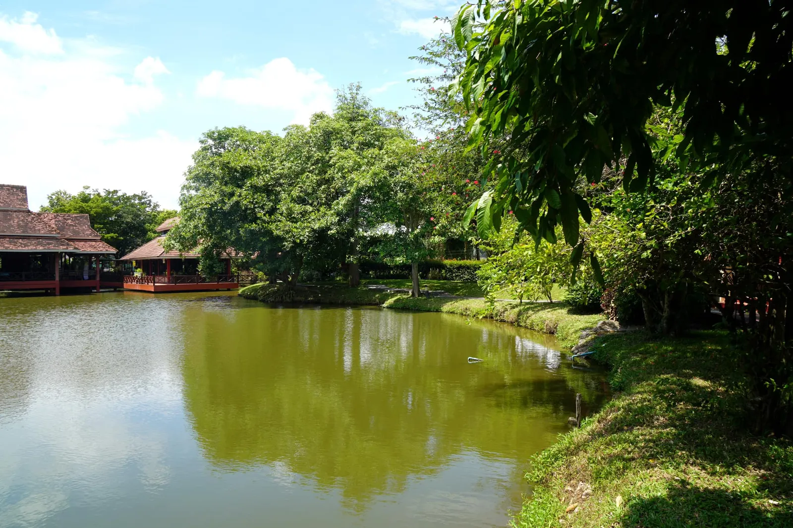 กระทั่งราวๆ 20 ปีก่อนชุมชนโดยรอบขยายขนาดใหญ่ขึ้นทำให้ถูกรบกวนโดยมลภาวะทางกลิ่นของฟาร์ม ด้วยความที่ตอนนั้น Lemon Tree ร้านอาหารไทยในเมืองซึ่งเป็นอีกธุรกิจหนึ่งของครอบครัวเติบโตอย่างรวดเร็ว พี่หนอและพี่หนุ่มสองพี่น้องจึงปรึกษากันเพื่อปรับเปลี่ยนพื้นที่ตรงนี้เป็นร้านอาหารใหม่เพิ่มเติมอีกร้านหนึ่งในคอนเซปบ้านสวนกลางทุ่งนา