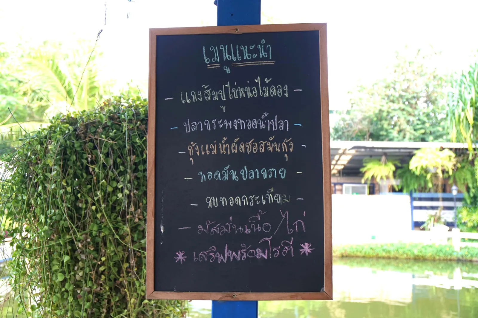 เมนูแนะนำต่างๆ