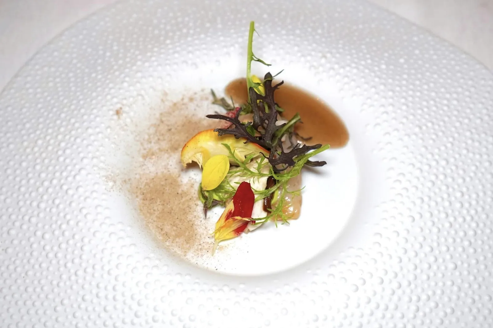 Scampo, mushrooms and lovage กุ้ง Scampo เนื้อนุ่ม รสชาติหวานอร่อยโดยธรรมชาติจับคู่กับองค์ประกอบหลากหลายรูปแบบของเห็ดทั้งซอสและผงรอบ ๆ จาน เชฟเสริมด้วยกลิ่นเฉพาะตัวของ Lovage เตรียมมาในรูปแบบของ Gel ได้อย่างลงตัว อย่างไรก็ตามเมื่อพิจารณาระดับของห้องอาหารเทียบกับความซับซ้อนของจานแล้วดูจะมีความโดดเด่นน้อยกว่าอาหารจานอื่น ๆ อยู่พอสมควร (17/20)