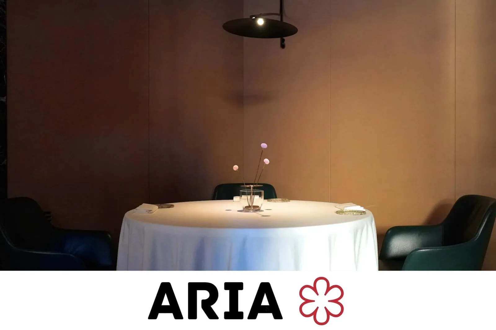 ARIA