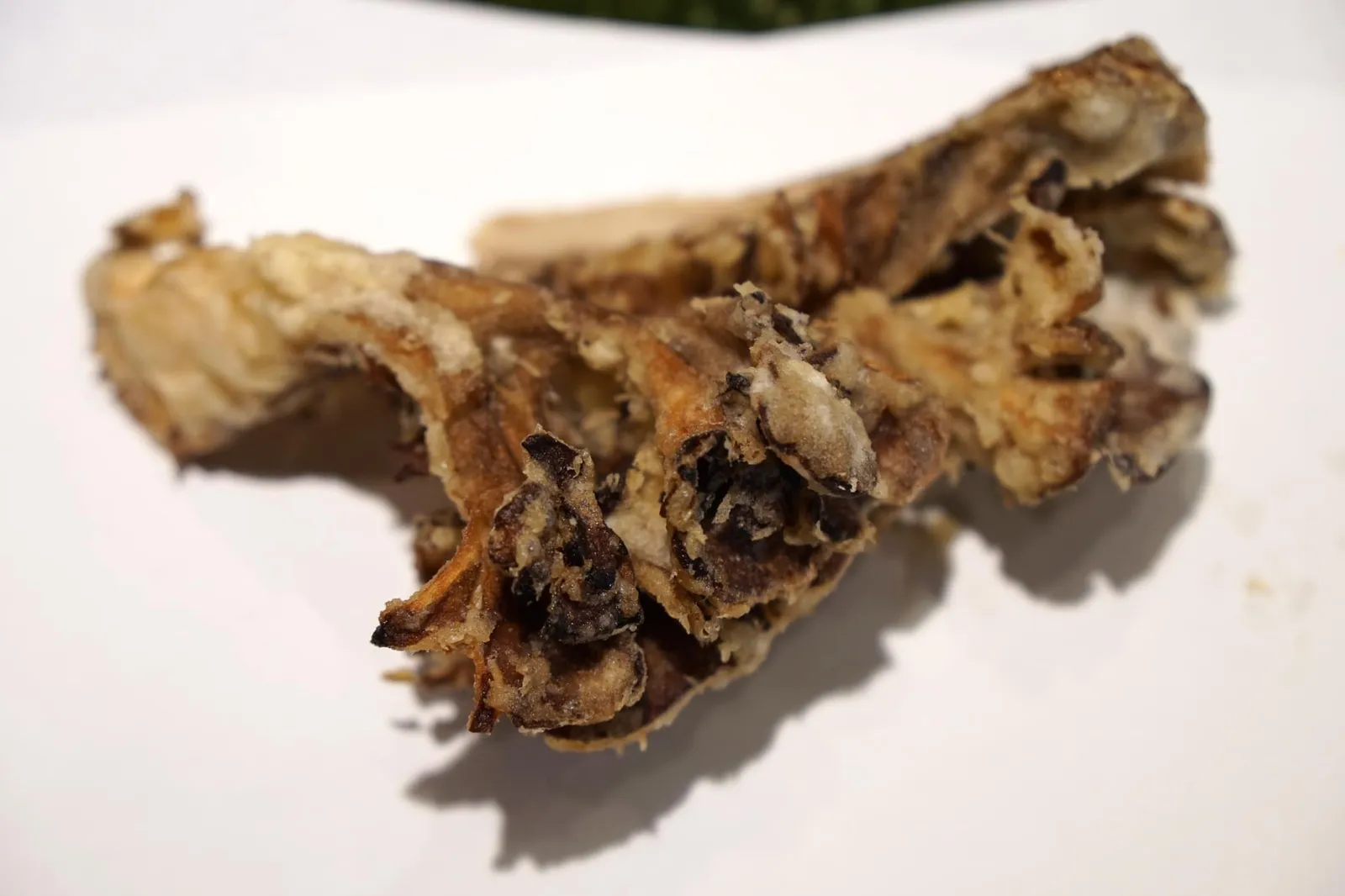 Maitake (300++) เห็ดไมตาเกะชุบแป้งทอด เสิร์ฟมาหน้าตาคล้ายปะการัง ตัวเห็ดเคี้ยวกรอบมากกว่าเทมปุระจานอื่นๆ ทอดมาสุกพอดี ไม่แห้งจนเกินไป และไม่ดิบจนมีกลิ่นของฟังกัส มีรสหวานอ่อนๆ เคี้ยวกรอบเพลินๆ (13/20)