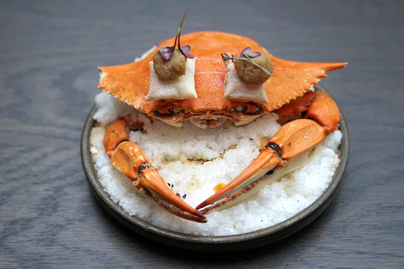 Amuse-bouche Pleasures of The Palate สุดท้ายคือ “Blue Swimmer Crab” หรือปูม้าซึ่งแต่เดิมเป็นสัตว์เอเลี่ยนที่แพร่เข้ามาจากประเทศอเมริกาสู่ที่เนเธอแลนด์เมื่อกว่า 100 ปีก่อนแต่ตอนนี้พบกระจายได้ทั่วไปตามแหล่งน้ำ เชฟปั้นมาเป็นก้อนเล็กๆ เสิร์ฟมาบน Pillow หรือหมอนกรอบเพิ่มมิติทางเนื้อสัมผัสวางมาบนตัวปูอีกทีหนึ่ง ด้านในมีกลิ่นคล้ายๆแกง มีรสอมเปรี้ยวนิดๆเพื่อดึงความหวานจากเนื้อปูให้เด่นชัดมากยิ่งขึ้น น่าสนใจไม่เบา (18/20)
