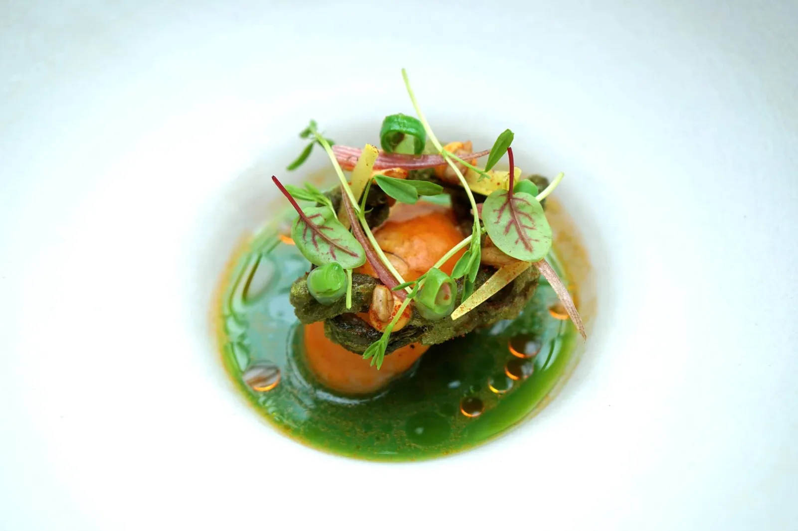 Langoustine, tomato, kombucha, snake beans ส่วนน้ำสีเขียวด้านล่างทำมาจากถั่วฝักยาวสายพันธุ์บ้านเราผสมกับสไปซ์แถบบ้านเราที่เชฟเรียกว่า Laos ทั้งยังมีองค์ประกอบของมะเขือเทศให้รสเปรี้ยวเบาๆ ทั้งยังช่วยดึงรสหวานของเนื้อกุ้งให้เด่นชัดมากขึ้นอีกหลายเท่าตัว วิธีทานให้หั่นครึ่งเนื้อกุ้ง ตักทุกองค์ประกอบพร้อมกันเพื่อให้ได้รสชาติที่ดีที่สุด (19/20)