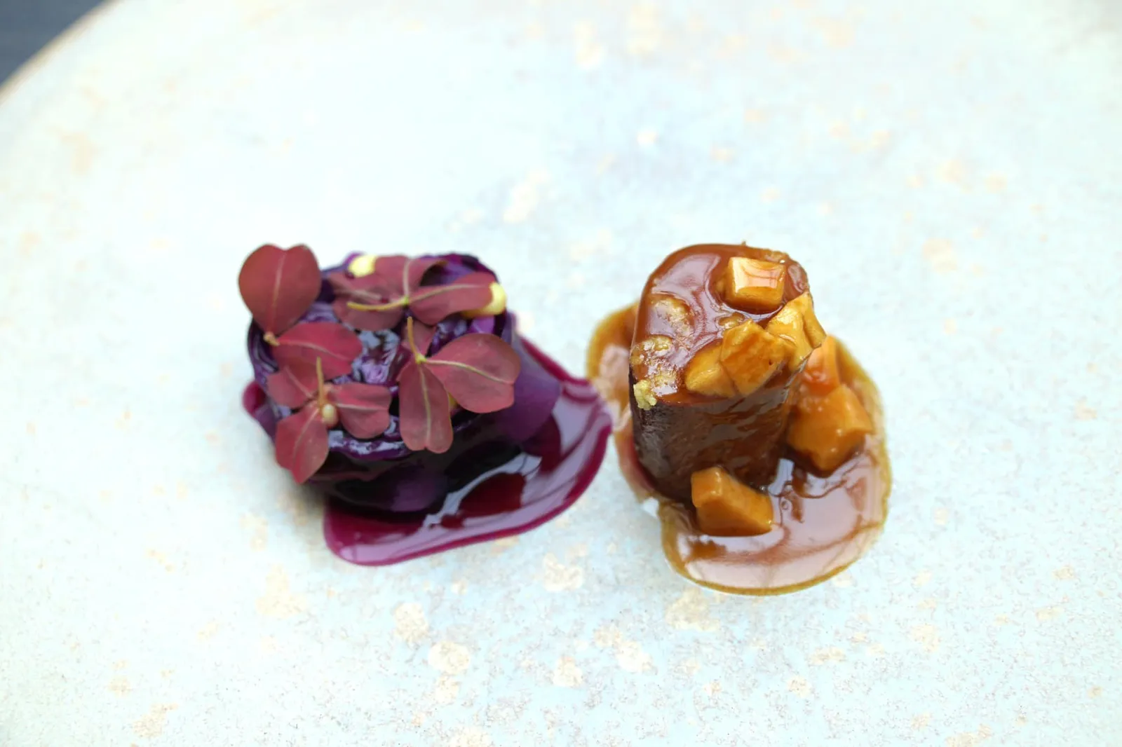 Roe deer, red cabbage, ginger เมนคอร์สจานสุดท้ายคือ “Roe Deer” หรือเนื้อกวางโร เชฟเลือกเสิร์ฟมา 2 ชิ้น ฝั่งขวาเป็นเนื้อส่วนหลังย่างและเสิร์ฟที่ความสุกระดับมีเดียมแรร์เพื่อคงความนุ่มและความฉ่ำของเนื้อ ด้านบนราดด้วยน้ำ Jus ทำมาจาก Roe deer และ Dried apple ให้รสหวานอมเปรี้ยวเข้ากันดีกับความละเอียดเหมือนทรายอันเป็นเอกลักณ์ของเนื้อกวาง ส่วนฝั่งซ้ายคือสตูว์ขากวางนุ่มๆ เสิร์ฟมาให้ทานกับกะหล่ำปลีม่วง ขิง และโปยกั๊ก ทานแล้วกลิ่นขิงค่อนข้างเด่นช่วยในการดับกลิ่นสาบของสตูว์เนื้อกวางได้อย่างดี (19/20)
