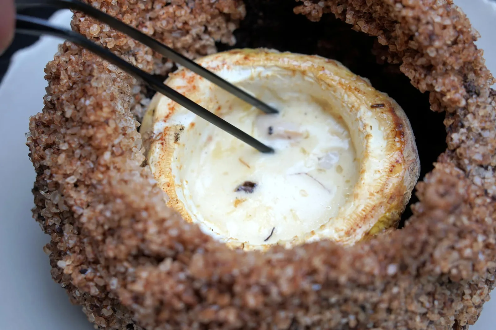 Veal sweetbread, celeriac, truffle ถัดมาเป็นวัตถุดิบปราบเซียนอย่าง “Sweetbread” หรือต่อมไร้ท่อของลูกวัว โดยทั่วไปจะใช้ต่อมไทมัสซึ่งอยู่ที่บริเวณรอบๆหลอดลมและจะเริ่มฝ่อไปเองเมื่ออายุมากขึ้น (19/20)