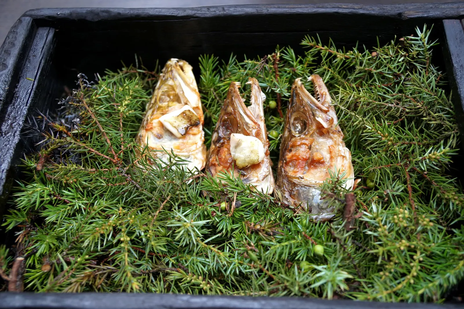 Amuse-bouche Pleasures of The Palate Pleasures of The Palate เริ่มต้นด้วย ”Head of pike perch” หรือหัวปลา Pike-perch เชฟนำส่วนแก้มปลาไปย่าง จากนั้นจึงนำมาวางบนหัวปลาแล้วนำไปรมควันบน Juniper Berry จนสุกเพื่อเพิ่มกลิ่นหอม (20/20)