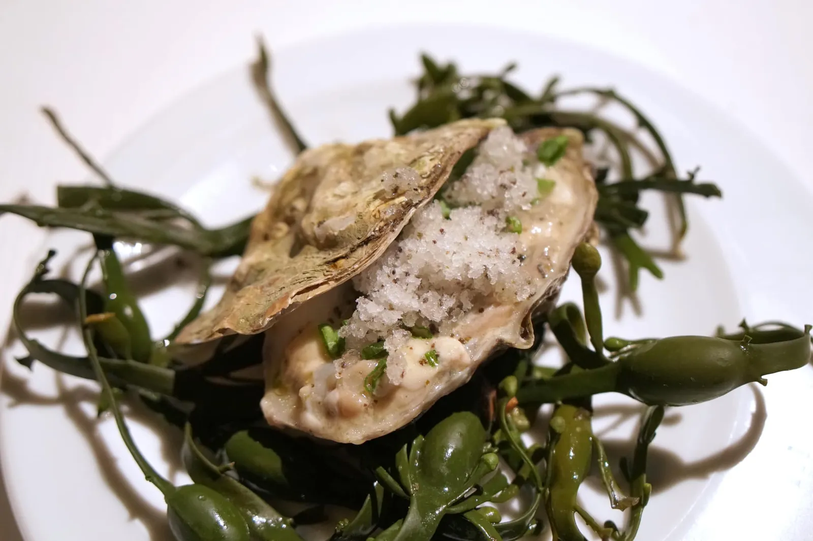 Concassé of oysters, granité of seaweed and lemon Huîtres concassées, granité algue et citron Tartar of raw oysters with lemon and seaweed granité. เชฟ Guy Savoy เคยบอกเอาไว้ว่าจานนี้อาจตั้งชื่อใหม่ได้ว่า ‘oysters, oysters, oysters’... เพราะเป็นการนำเสนอหอยนางรมออกมาได้ในหลากหลายรูปแบบอย่างไร้ที่ติ (20/20)