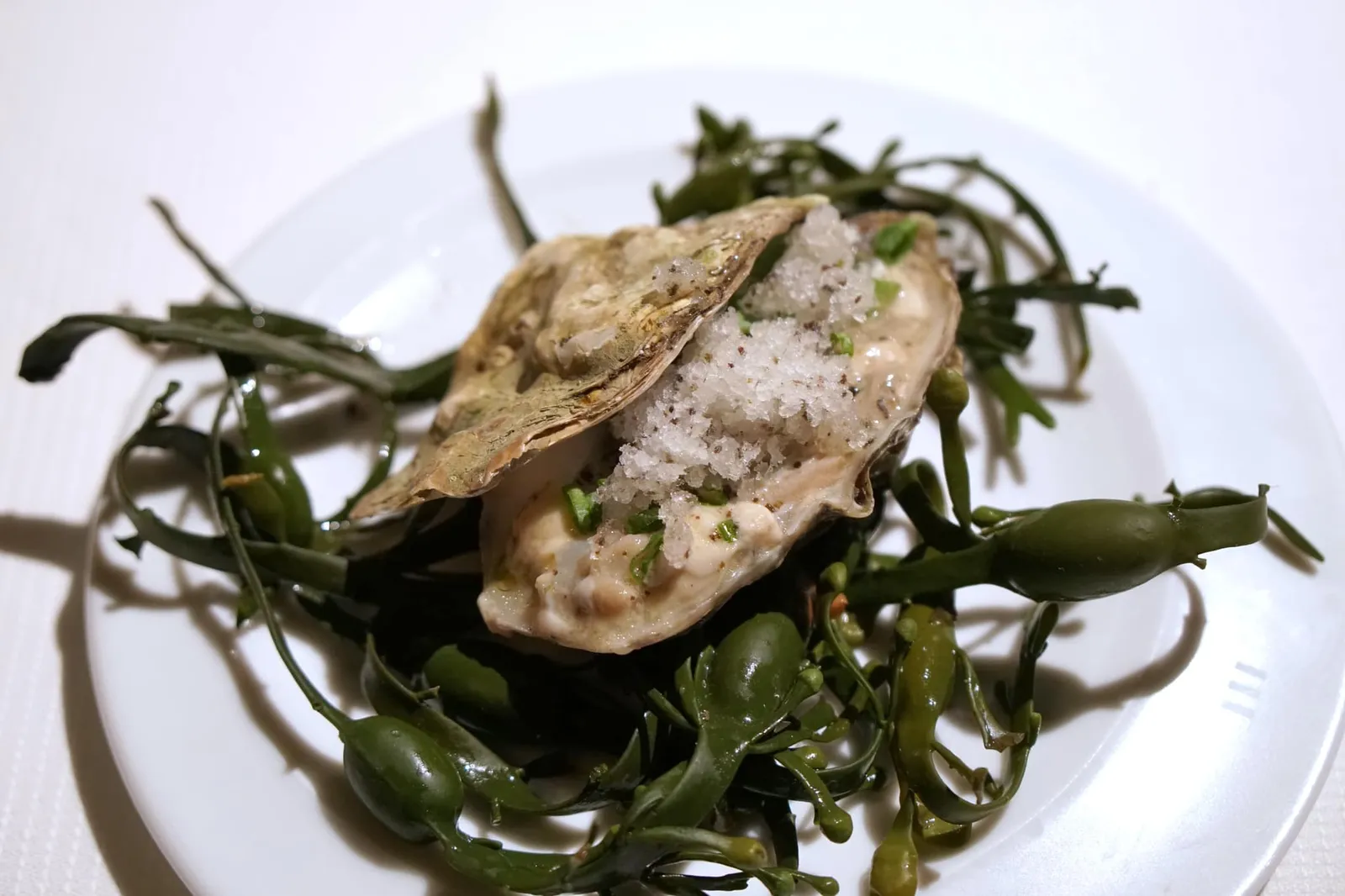 Concassé of oysters, granité of seaweed and lemon Huîtres concassées, granité algue et citron Tartar of raw oysters with lemon and seaweed granité. ส่วนองค์ประกอบหลักเป็นพูเรหอยนางรมเสิร์ฟมากับทาทาร์หอยนางรมดิบสับมาพอหยาบ ๆ จากนั้นนำไปคลุกกับน้ำที่มีรสชาติของมะนาวและสาหร่าย ยังมีเจลลี่ที่ทำมาจาก Oyster jus ทานพร้อมกันจะได้เนื้อสัมผัสนุ่มหนึบอันเป็นเอกลักษณ์ของหอยนางรมคุณภาพสูงของฝรั่งเศส น้ำที่สกัดจากสาหร่ายและมะนาวช่วยดับกลิ่นคาวและกลิ่นดินของหอยนางรมได้อย่างหมดจด องค์ประกอบสำคัญอย่างกรานิต้ามีรสชาติของเลมอนและสาหร่ายช่วยเรียกความสดชื่นได้ดีมาก ๆ นอกจากนี้ยังมีองค์ประกอบของซอเรล เลมอนที่บรูนัวส์ช่วยบาลานซ์โทนของรสชาติให้ออกมาได้อย่างไร้ที่ติ และพริกไทยเพียงเบา ๆ เราชอบการนำเสิร์ฟมาบนสาหร่ายเพื่อบอกถึงองค์ประกอบของวัตถุดิบ (20/20)