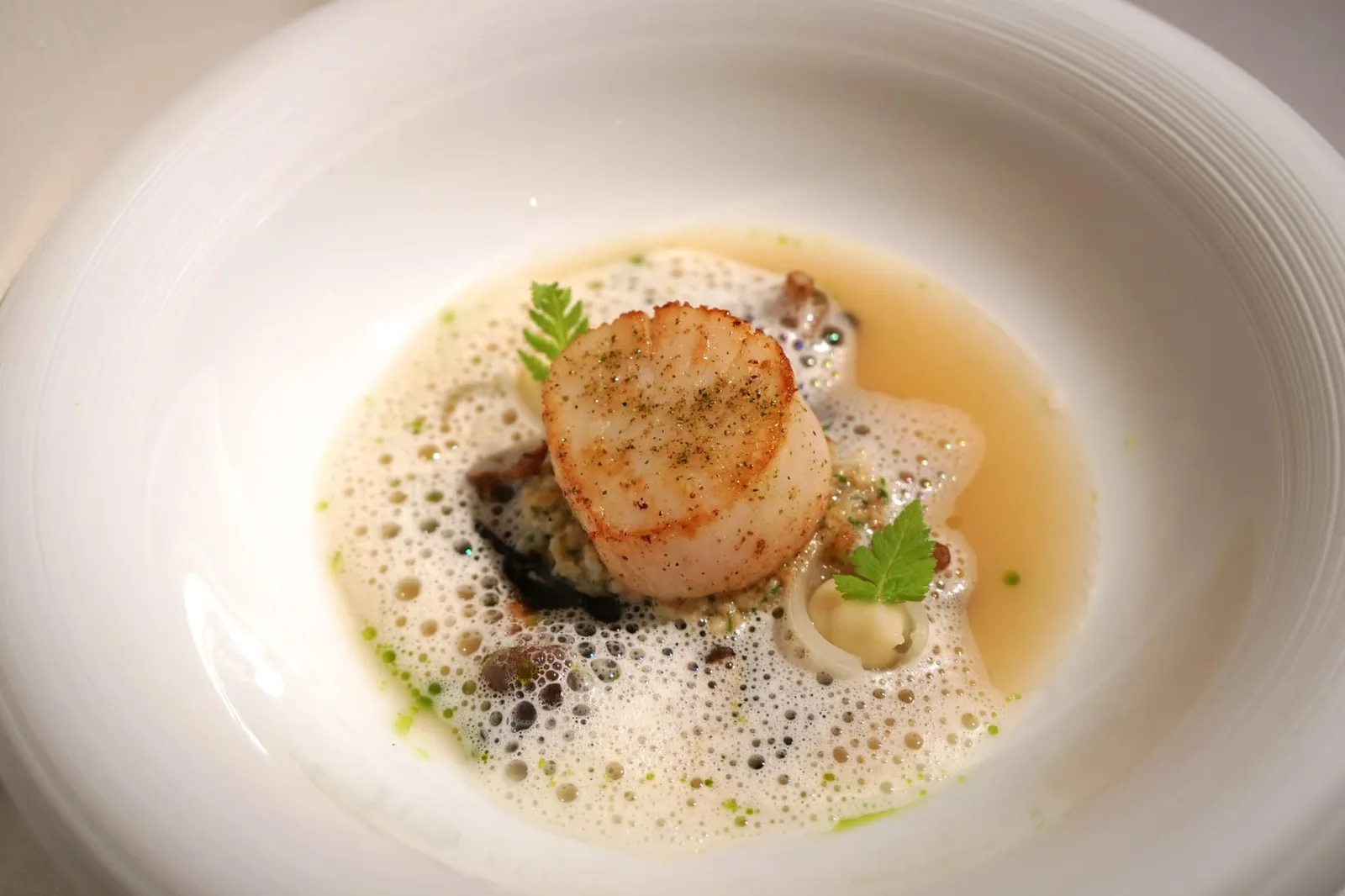 SCALLOP 'ERQUY ST-BRIEUC' celeriac • dashi • chervil จานนี้คือ “หอยเชลล์” นำเข้าจาก Erquy St-Brieuc เมืองทางตะวันตกของประเทศฝรั่งเศสเสิร์ฟมาได้ระดับความสุกกำลังดี ด้านล่างเป็นทาทาร์เนื้อมอลลัสก์ (สัตว์ตระกูลหอยต่าง ๆ) จากนั้นจึงราดน้ำดาชิลงไปมีกลิ่นหอมเด่นชัดมาก ๆ ทานคู่กับหัวขึ้นฉ่ายฝรั่ง และน้ำดาชิรสกลมกล่อม (18/20)