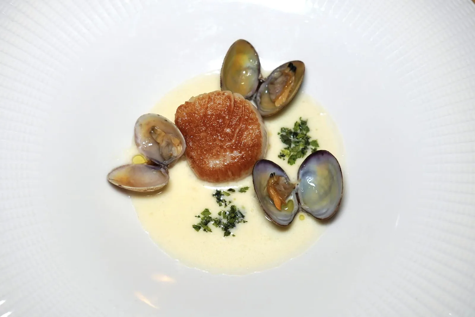 Noci di Cappasante alla plancia riduzione di ostriche e Martini dry, vongole veraci alle erbe หอยเชลล์ยักษ์นำเข้าจากประเทศสหรัฐอเมริกาย่างจนสุกพอดีให้เนื้อสัมผัสค่อนข้างนุ่มรับประทานสลับกับหอยลายอิตาลีให้เนื้อสัมผัสที่หนึบแตกต่างกันได้อย่างลงตัว เชฟเสิร์ฟมากับซอสที่เตรียมมาจาก Oyster Reduction โดยมีรสเฉพสะตัวของสมุนไพรและ Martini ใส่อยู่ด้วย (17/20)