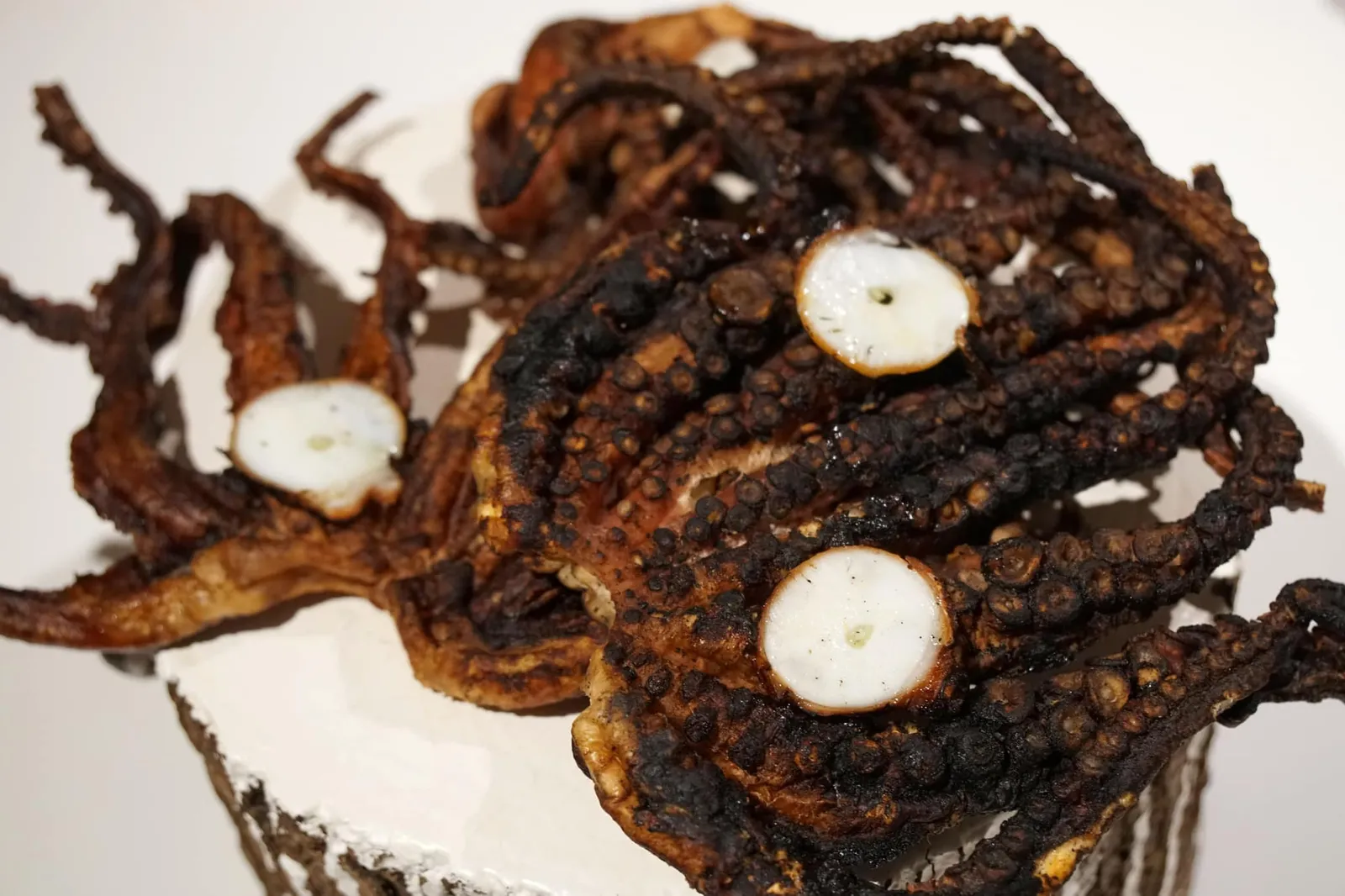 Dry Octopus. ปลาหมึกแห้ง ที่ได้มาจากการไปผ่านไฟโดยตรง เป็นกรรมวิธีพื้นบ้านของคนพื้นเมืองของเเถบนี้ มีเนื้อสัมผัสเคี้ยวหนึบ เสิร์ฟมาบนหนวดหมึกยักษ์ชิ้นใหญ่ให้ทานเเกล้มกับอาหารจานหลัก (16/20)