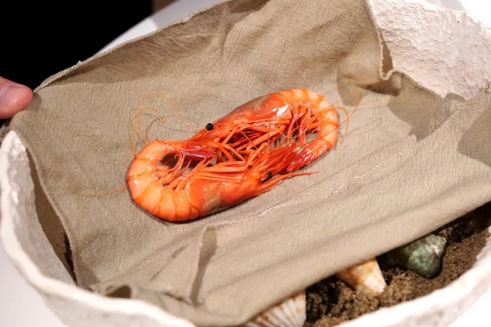 Red King Prawn From Dènia, Tea Of Chards จานถัดมาคือของขวัญนอกเมนูที่เชฟมอบให้กับเเขกทุกคนคือ Red King Prawn ของเมือง Dénia เมืองซึ่งเป็นที่ตั้งของร้านอาหารแห่งนี้ ประวัติของกุ้งเเดงคอร์สนี้เริ่มมาจากก่อนหน้านี้เมนูกุ้งเเดงถูกจัดให้เป็นวัตถุดิบหลักของอาหารคอร์สหนึ่งในเมนู เเละถูกนำไปปรุงเป็นอาหารจานหรูผลัดเปลี่ยนไปตามฤดูกาล ในเวลาต่อมาเชฟ Quique ตัดสินใจว่าจะไม่เสิร์ฟกุ้งแดงแห่งเมือง Dénia ในรูปแบบที่ผ่านการปรุงอีกต่อไป แต่ตั้งใจจะเสิร์ฟกุ้งสดๆเป็นวัตถุดิบหลักเพื่อให้เเขกทุกคนได้ลิ้มรสธรรมชาติของวัตถุดิบอันเลอค่าประจำเมืองเล็กๆแห่งนี้ (16/20)