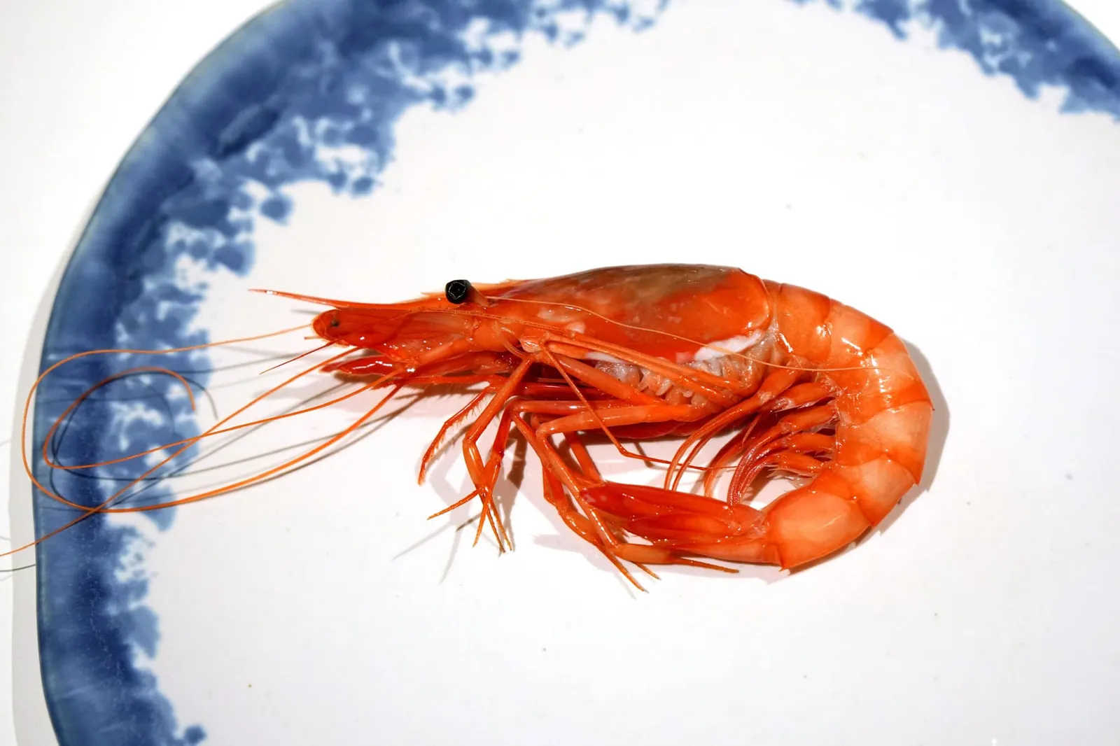 Red King Prawn From Denia, Tea Of Chards กุ้งเเดงจับจากทะเลสดๆ ปรุงโดยวิธีพื้นเมืองโดยการนำไปต้มในน้ำทะเลจนสุก จากนั้นนำมาเเช่ในน้ำทะเลเย็นเพื่อให้เนื้อกุ้งมีความเเน่น เด้ง มีกลิ่นหอมในเเบบที่กุ้งสดๆควรจะเป็น ที่สำคัญคือรสหวานธรรมชาติที่มีมากกว่ากุ้งชนิดอื่น ถือเป็นจุดเด่นสุดๆของกุ้งชนิดนี้ ห้ามลืมที่จะดูดหัวกุ้งเพื่อลิ้มลองส่วนมันของกุ้งเเดงที่มีคสามมันหวานมากกว่ากุ้งชนิดอื่น ถือเป็น Star of the dish เลยทีเดียว นอกจากวัตถุดิบชั้นเลิศเเล้ว ฝีมือการปรุงของเชฟก็ดีงามไร้ที่ติจริงๆ (16/20)