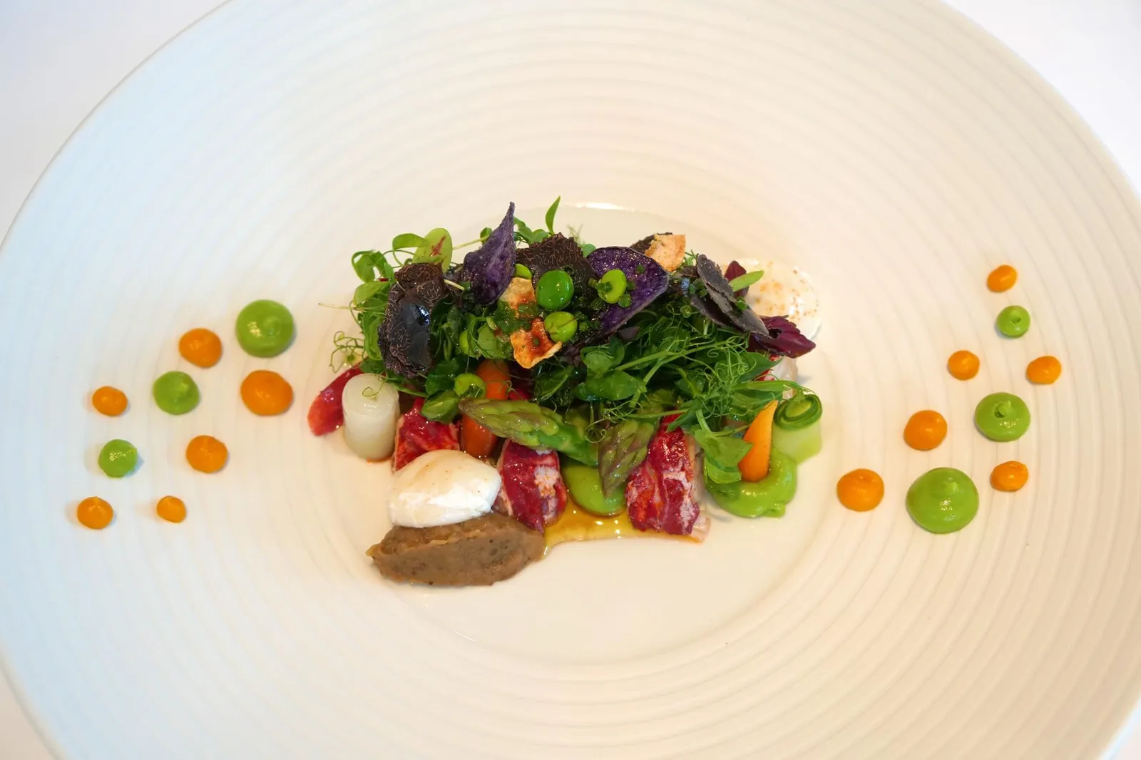 Vegetable Garden with Lobster (48 €) Olive Cracknel, Poached Quails Egg อาหารเรียกน้ำย่อยอีกจานหนึ่งคือสลัดกุ้งล็อบสเตอร์ที่เชฟจัดเสิร์ฟมาดูน่าทาน เริ่มจากเนื้อกุ้งล็อบสเตอร์ที่หั่นมาเป็นชิ้นขนาดพอดีคำ เสิร์ฟให้ทานกับผักนานาชนิด เช่น เเตงกวา ถั่ว มันฝรั่งสีม่วงหรือ Blue potato chip แครอท หน่อไม้ฝรั่ง และวัตถุดิบล้ำค่าอย่าง Périgord Black Truffle ข้างกันคือพูเรแครอทสีส้มและพูเรหน่อไม้ฝรั่งสีเขียว ทานคู่กับไข่นกกระทาที่นำไป poached จนสุกพอดี องค์ประกอบสีน้ำตาลฝั่งซ้ายคือ Jerusalem artichoke tartare ปิดท้ายด้วยการราดซอส Balsmic olive oil (18/20)