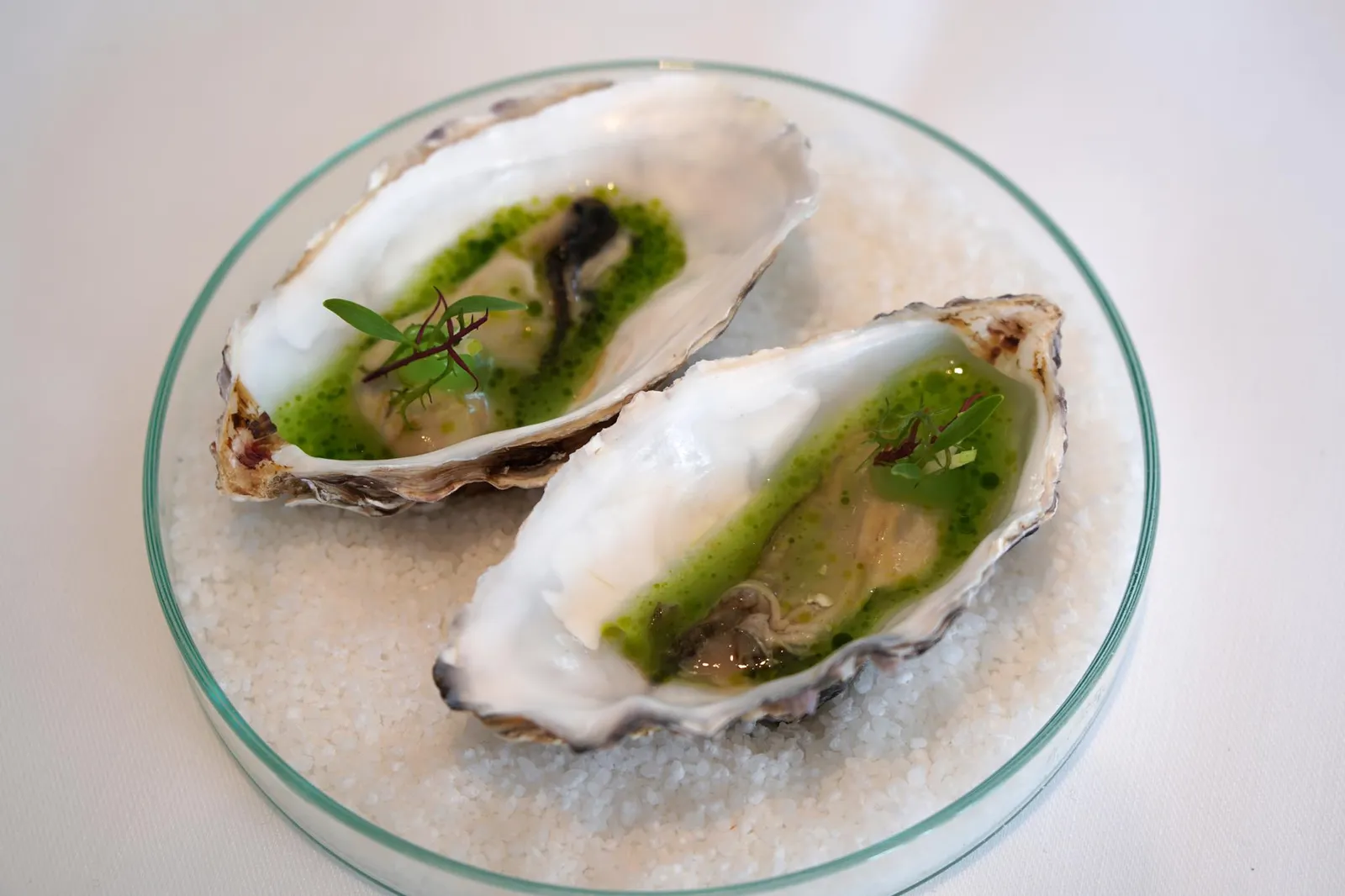 Les Délices Oyster and Green Apple ถัดมาคือหอยนางรมเสิร์ฟมาแบบเย็น ทานกับน้ำและองค์ประกอบอื่นๆทำมาจากแอปเปิ้ลเขียว ตัวหอยนางรมสดมาก ไม่มีกลิ่นคาว จับคู่กับรสเเละกลิ่นของแอปเปิ้ลเขียวช่วยเรียกความสดชื่นได้อย่างดี (19/20)