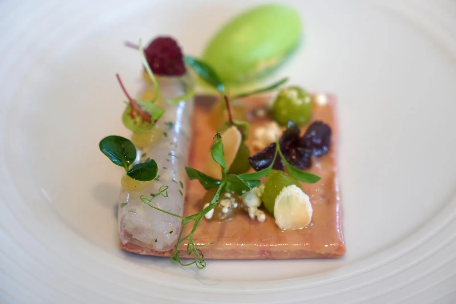 Prawns and Foie Gras (48 €) Limes Oil, Ginger Jelly มุมมองจากฝั่งด้านข้างจะเห็นว่าทาทาร์เนื้อกุ้งสับมาละเอียดพอดีห่อด้วยเจลลี่ทรงกระบอกดูน่าทานสุดๆ (19/20)