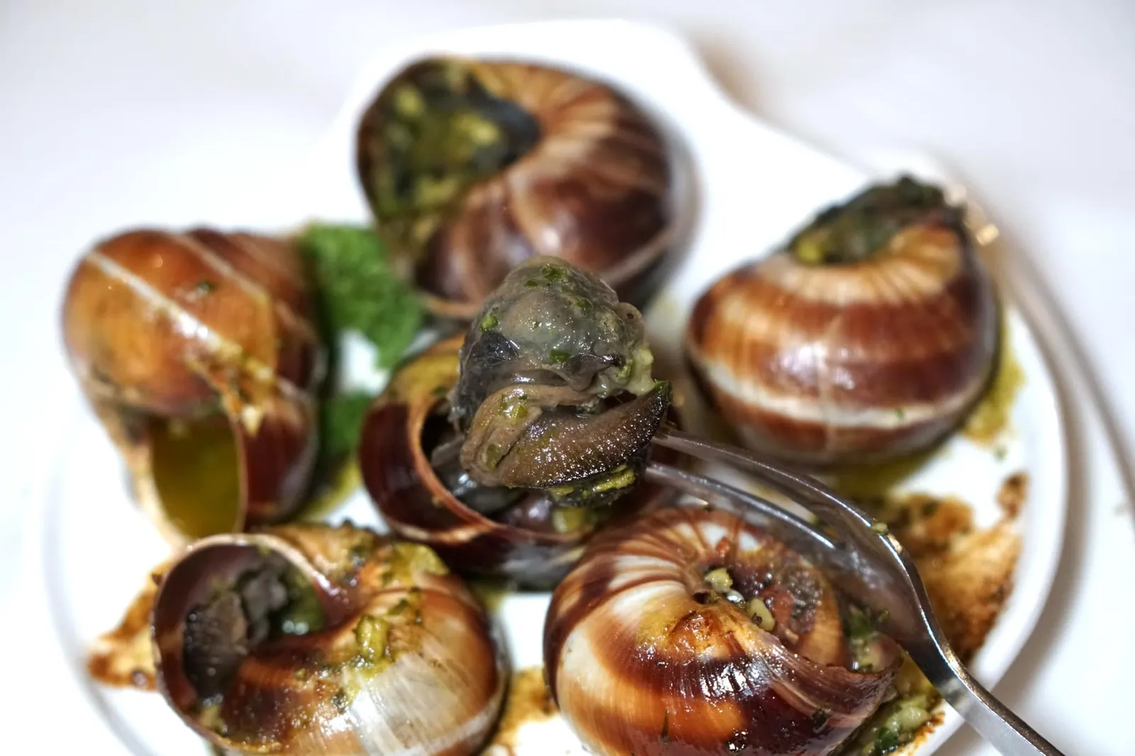 Escargot (6pcs) (490++) Baked French escargot in shell with Café de Paris sauce ให้ใช้ Pince À Escargot ซึ่งเป็นอุปกรณ์พิเศษในการยึดตัวหอยเอาไว้ จากนั้นใช้ Fourchette À Escargot ดึงเนื้อหอยทากออกมาจากเปลือก คลุกกับซอสให้ทั่วๆก่อนทาน เนื้อสัมผัสนุ่มหนึบ มีความ Earthy เบาๆ เสริมกันกับกลิ่นหอมของซอสเนย-กระเทียมหอมๆ คลาสสิค ไม่ซับซ้อน แต่รสชาติออกมาในแบบที่ควรจะเป็น