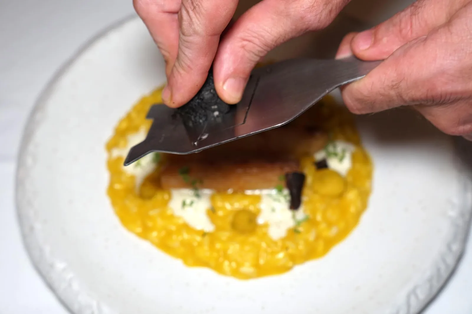 RISOTTO CARNAROLI (550++) Pumpkin - Black Truffle - White Asparagus - Hazelnut Carpaccio มาถึงจานรีซอตโต้พนักงานจะนำทรัฟเฟิลมาขูดฝนเป็นแผ่นบาง ๆ ลงไปด้านบน