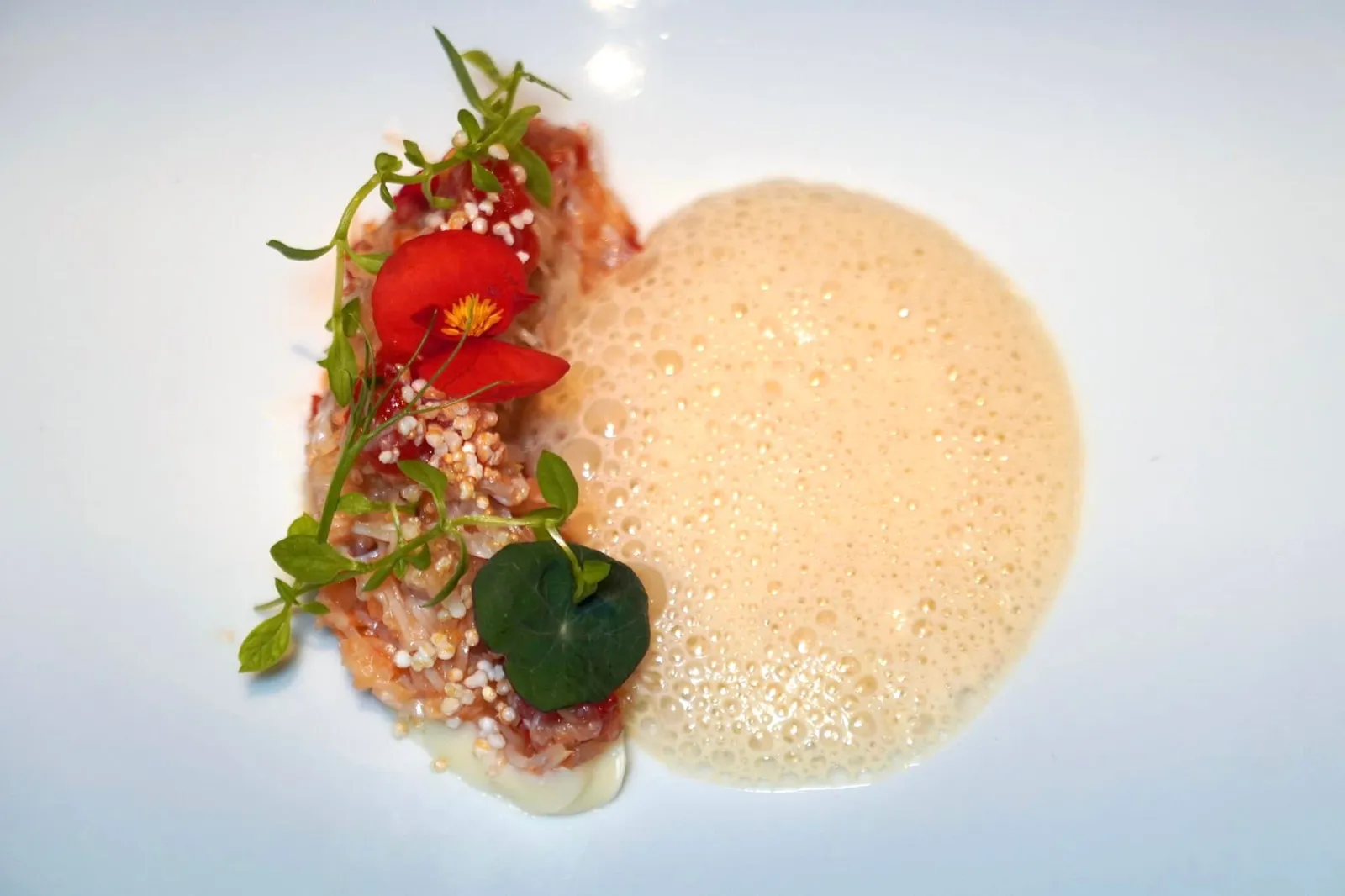 CAPARAZÓN (2021) SPYDER CRAB blackthorn cream, milk foam and flower of the environment “กาปาราโซน” หรือสไปเดอร์แครบ เมนูหารับประทานยากที่เชฟ David เพิ่งคิดค้นออกมาในปี 2021 นี่เองโดยจับคู่เนื้อปูเข้ากับครีมอัลมอนด์ที่รองอยู่ด้านล่าง เนื้อปูให้รสชาติหวานเด่นชัด เมื่อผสมเข้ากับครีมอัลมอนด์ทำให้ความหวานถูกเสริมด้วยความหอมและมันเชื่อมทั้งรสชาติและเนื้อสัมผัสเข้ากับดอกไม้หลากหลายชนิดที่ใส่มาด้านบนและมีเนื้อสัมผัสที่แตกต่างกันออกไป (20/20)