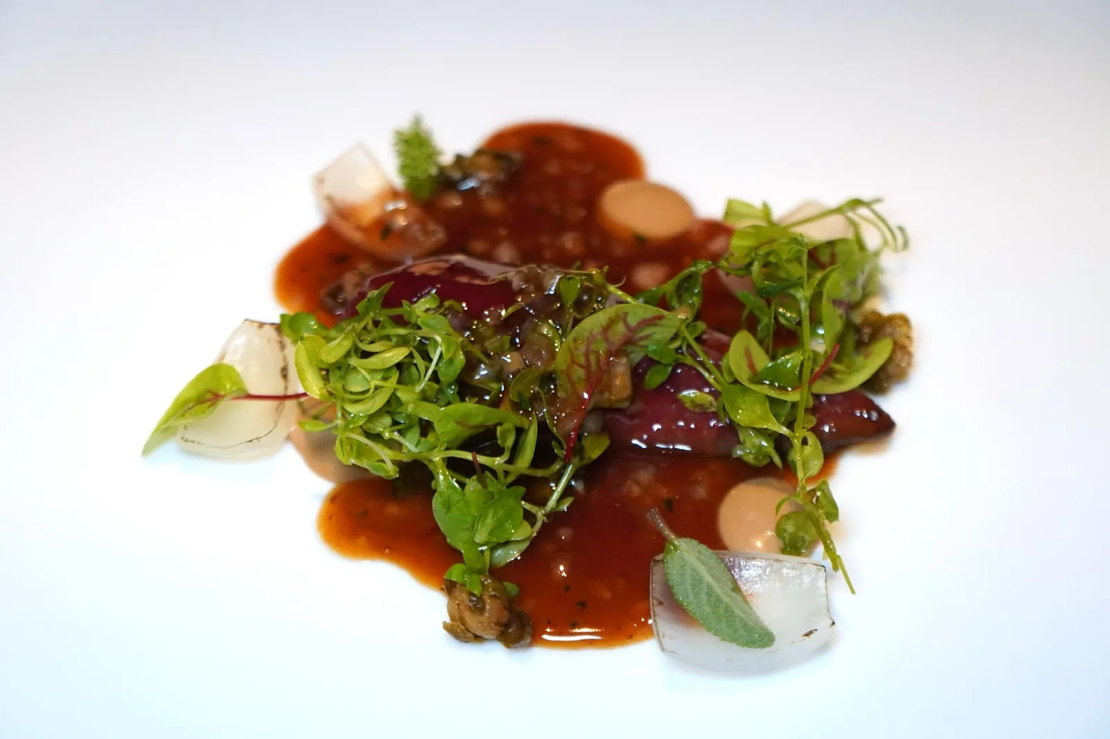 PLUMA (2020) ROASTED PIGEON BREST moonshine salad, the reduction of the same bird and truffle “พลูม่า” เป็นอาหารคาวสุดท้ายในมื้อนี้ เชฟเสิร์ฟอกนกพิราบย่างจนสุกระดับ Medium rare จึงมีความนุ่มที่พอเหมาะ ด้านบนคือมูนไชน์สลัดที่มีองค์ประกอบหลักเป็นพืชท้องถิ่นชื่อว่า Pamplinas และพริกไทยดำ (17/20)