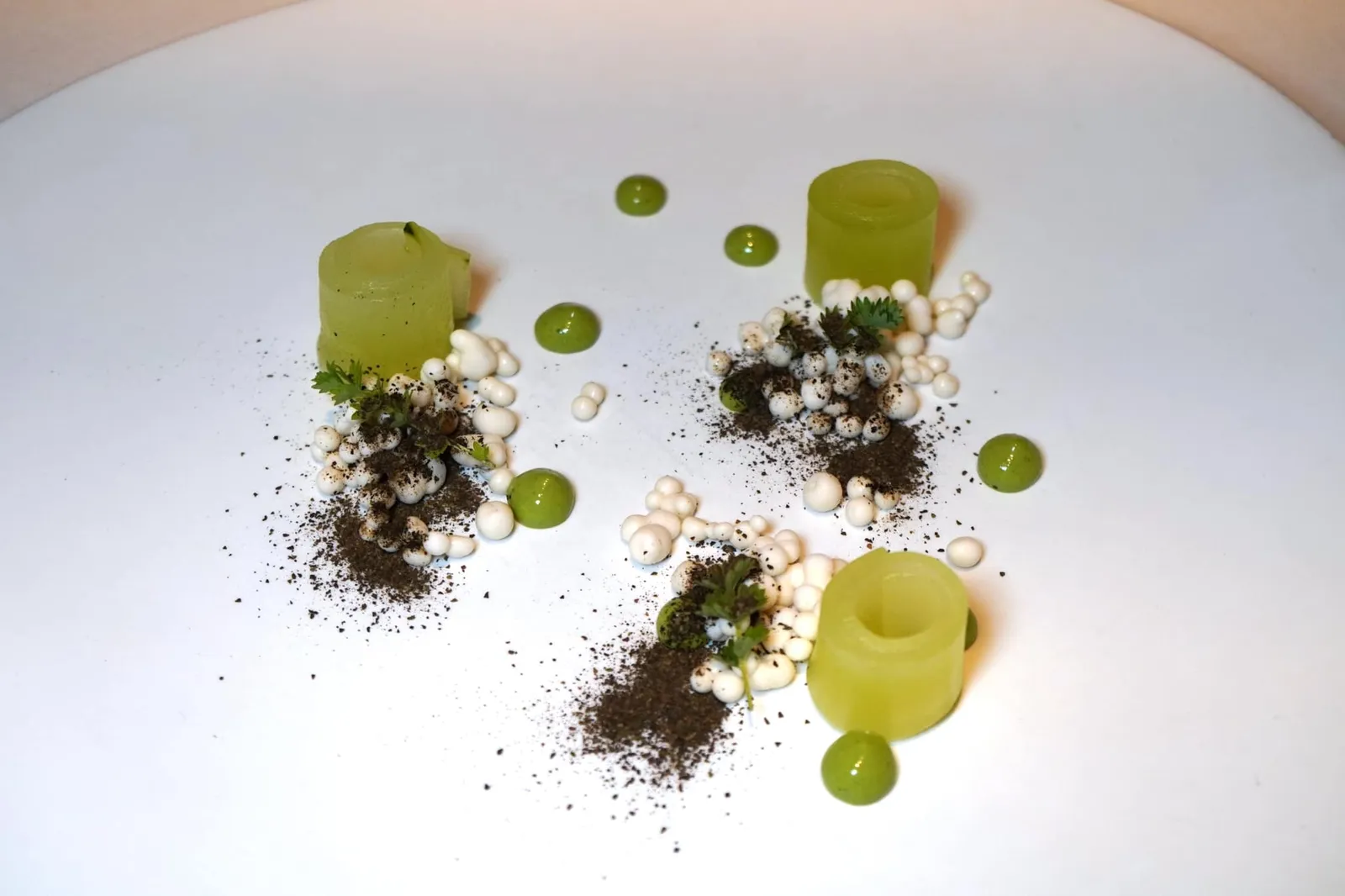 ENCURTIDO (2018) CUCUMBER AND HERBS osmotized cucumber, cream of oyster and herbs สุดยอดเมนูที่เปรียบได้เสมือน Iconic Dish ของห้องอาหาร El Molino de Urdániz ทั้งยังเป็นจานชูโรงที่ปรากฏอยู่ในเวปไซต์ของมิชลินไกด์คือ “เอ็นคูทิโด้” หรือ Pickled ในที่นี้คือแตงกวาดองแล้วม้วนมาเป็นทรงกระบอก ให้เนื้อสัมผัสที่กรอบพอเหมาะ ไร้ที่ติ ข้างกันคิอซอสสีเขียวทำมาจากหอยนางรมและสมุนไพรโดยจะมีกลิ่นหอยนางรมเพียงอ่อน ๆ เข้ากันได้กับความเปรี้ยวที่พอเหมาะของแตงกวาดอง องค์ประกอบสีขาวคือนมผสมกับหอยนางรม และผงสีดำทำมาจากเปลือกแตงกวาเผาให้ความสโม้กกี้และรสขมเบา ๆ มาเป็นอาฟเตอร์เทส เมื่อทานทุกองค์ประกอบพร้อมกันจะได้ทั้งเนื้อสัมผัสและรสชาติที่หลากหลาย ถือเป็นจานที่สมบูรณ์ไร้ที่ติเลยก็ว่าได้ (20/20)