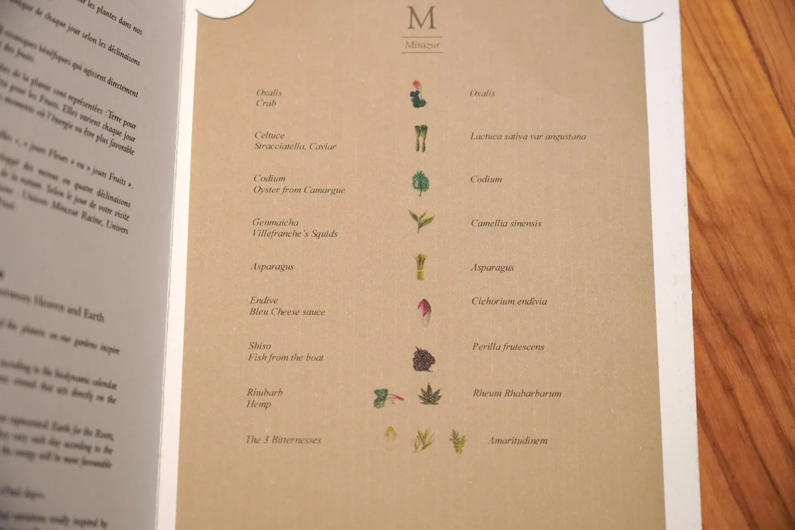 📃 Univers Mirazur Feuille - Leaf Mirazur Universe (380 €/p)