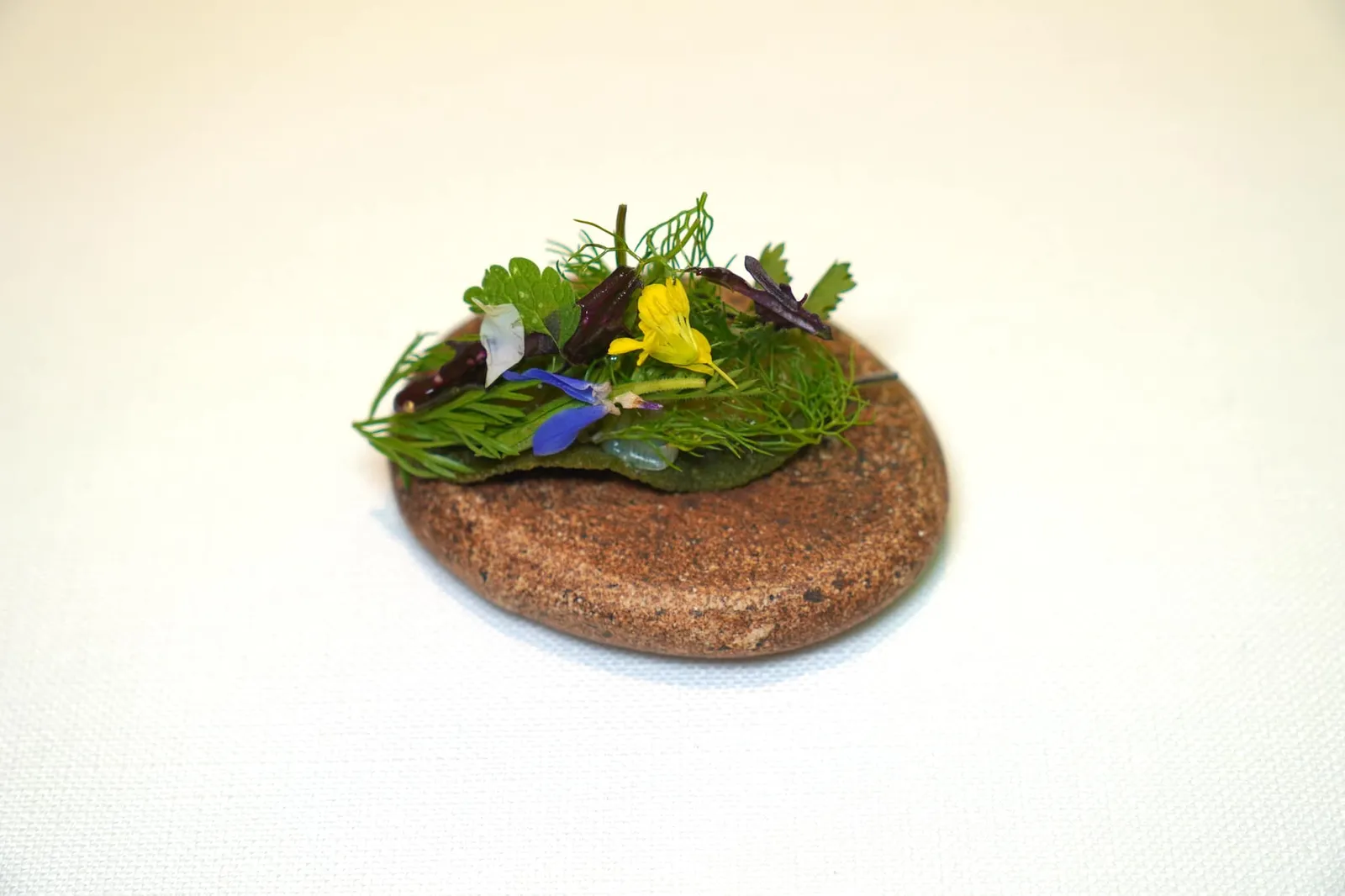 Crispy sage with spring flavours แผ่นกรอบทำจากใบ Sage ท็อปด้านบนด้วยสมุนไพรในช่วงฤดูใบไม้ผลิจากสวนข้าง ๆ กับตัวร้านให้รสชาติออกเปรี้ยวช่วยเรียกความสดชื่นก่อนเข้าสู่คอร์สหลัก (16/20)