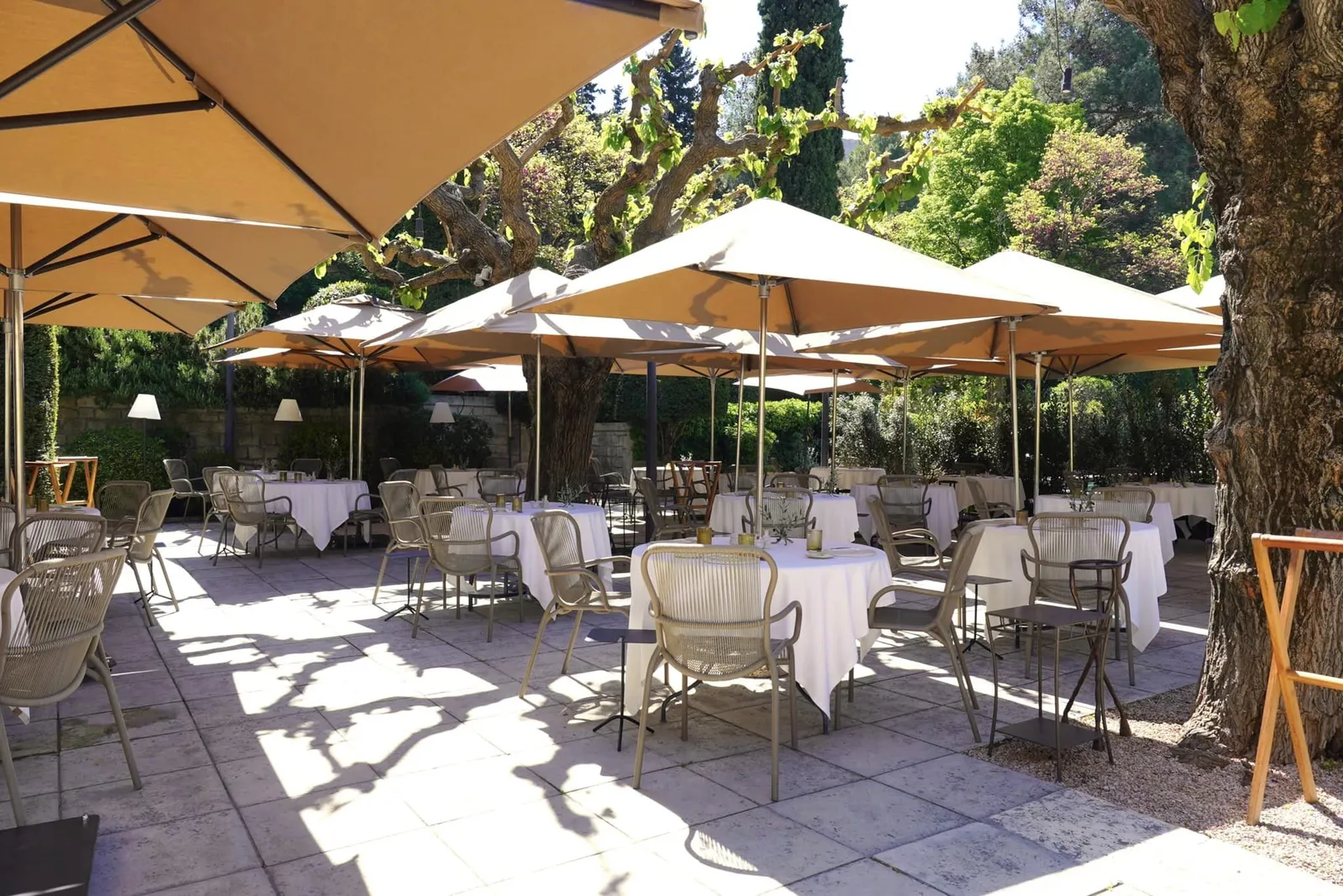เทอเรสแบบ Al Fresco ปกคลุมไปด้วยต้นหม่อนสำหรับรองรับลูกค้าช่วงมื้อกลางวันในวันที่อากาศเป็นใจ