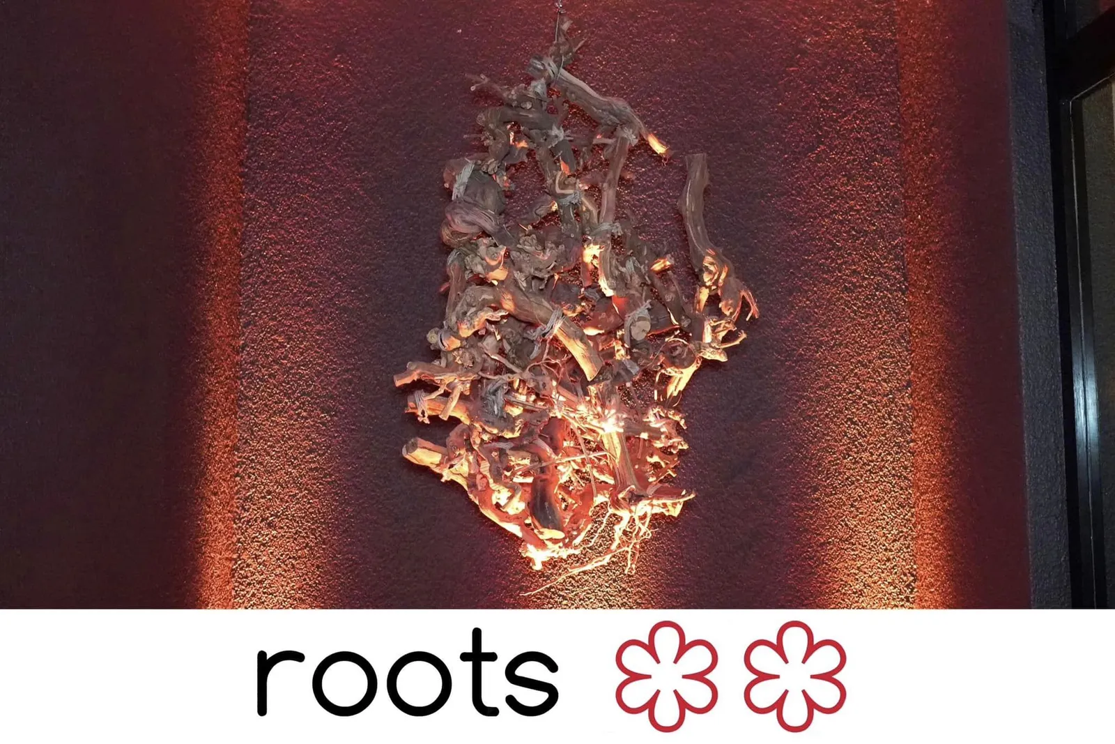 roots