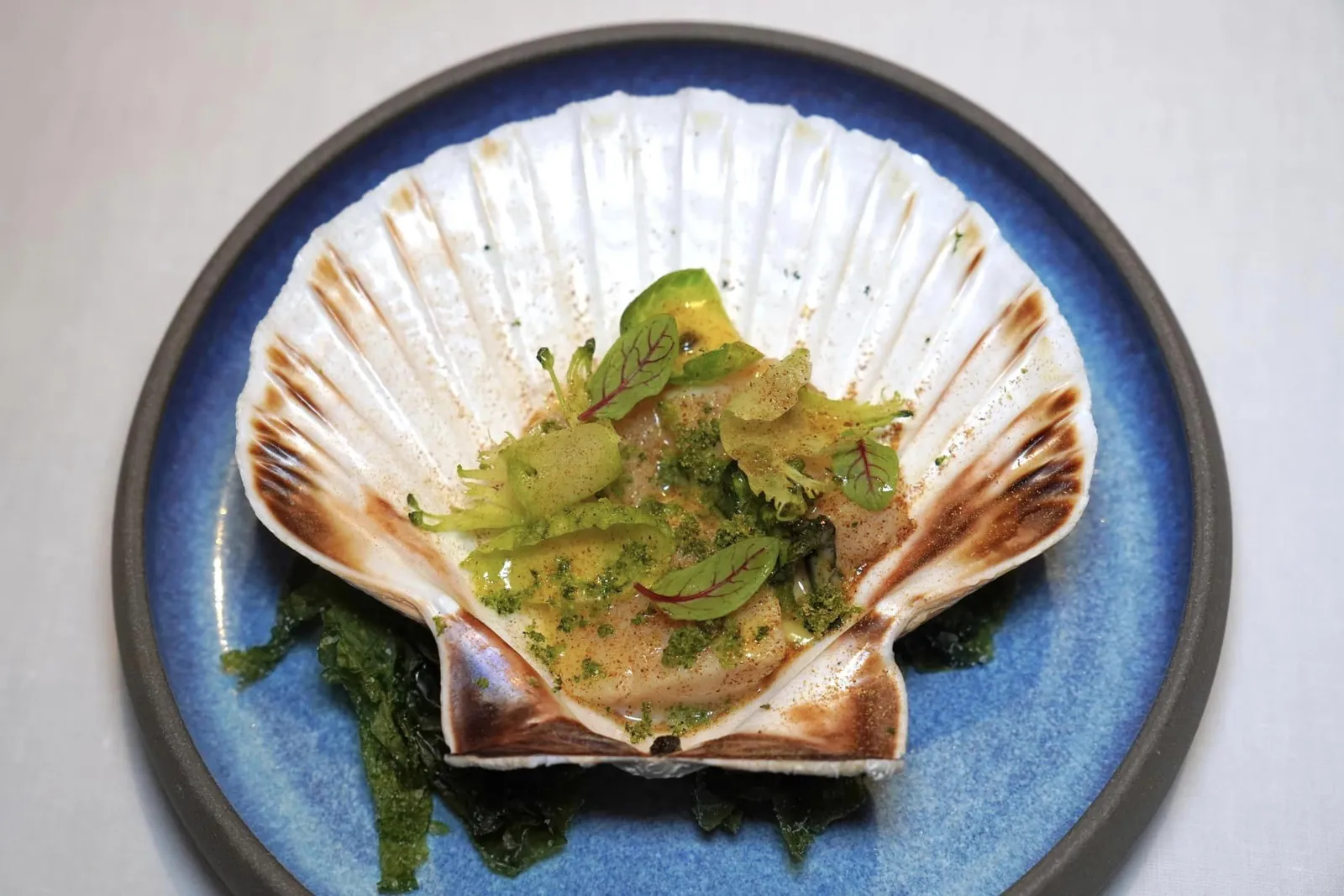 Scallop / Lemon Mousseline / Broccolini Stew หอยเชลล์ยักษ์ซึ่งเป็นวัตถุดิบขึ้นชื่อจากแคว้น Brittany ประเทศฝรั่งเศส เชฟนำไปจี่จนได้เนื้อสัมผัสที่นุ่มแต่ยังมีความสู้ฟันไม่ถึงกับละลายในปากเข้ากันดีกับความกรอบของ Broccolini Stew และความกรอบโดยไร้ซึ่งความขมของ Brussels Sprout นอกจากนี้ในด้านของรสชาติจะมีความเปรี้ยวและสดชื่นของ Lemon Mousseline เสริมด้วยอโรมาของผงสีแดงทร่เตรียมมาจาก Osmanthus หรือดอกหอมหมื่นลี้โรยอยู่ทั่ว ๆ จาน (16/20)